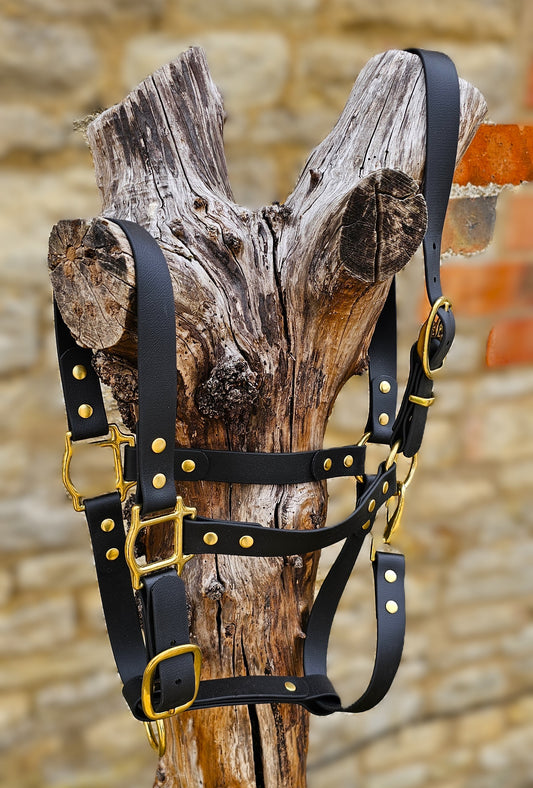 Black - Premium BioThane® waterproof Horse Halter