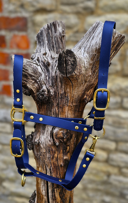 Navy - Premium BioThane® waterproof Horse Halter