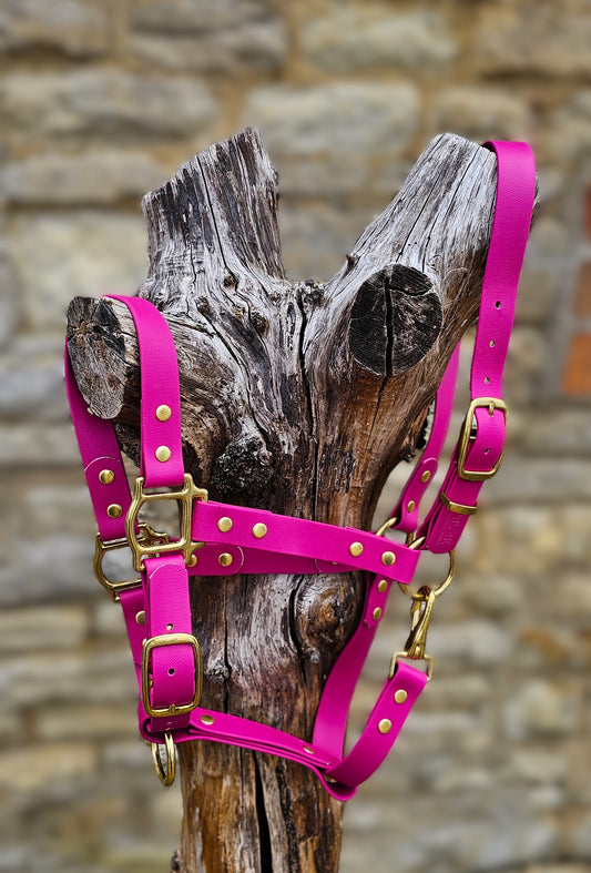 Magenta - Premium BioThane® waterproof Horse Halter
