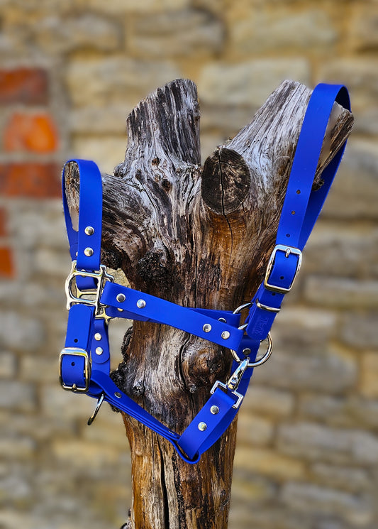 Royal Blue - Classic BioThane® waterproof Horse Halter