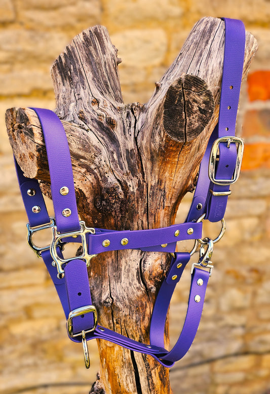 Purple - Classic BioThane® waterproof Horse Halter
