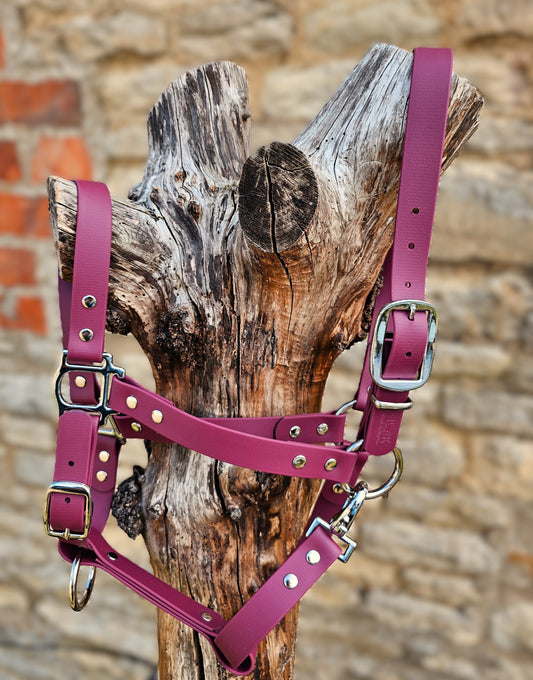 Burgundy - Classic BioThane® waterproof Horse Halter