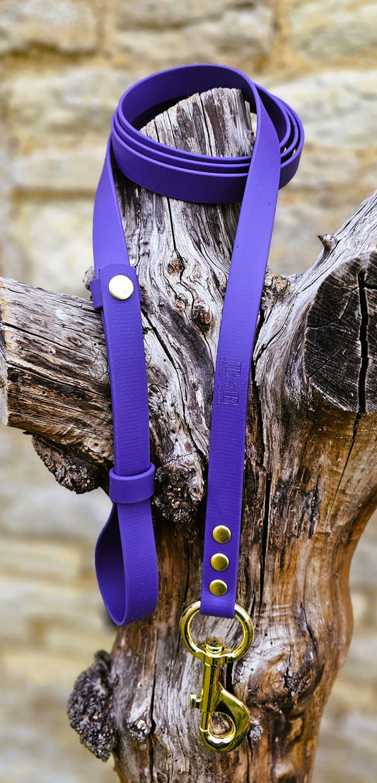 Purple - Waterproof BioThane® Break-Away Lead Line