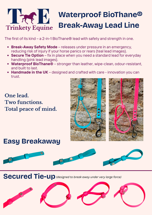Amethyst - Waterproof BioThane® Break-Away Lead Line with Chain
