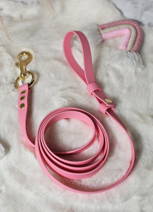 Why our waterproof BioThane® Break-Away Lead Line is a Game-Changer