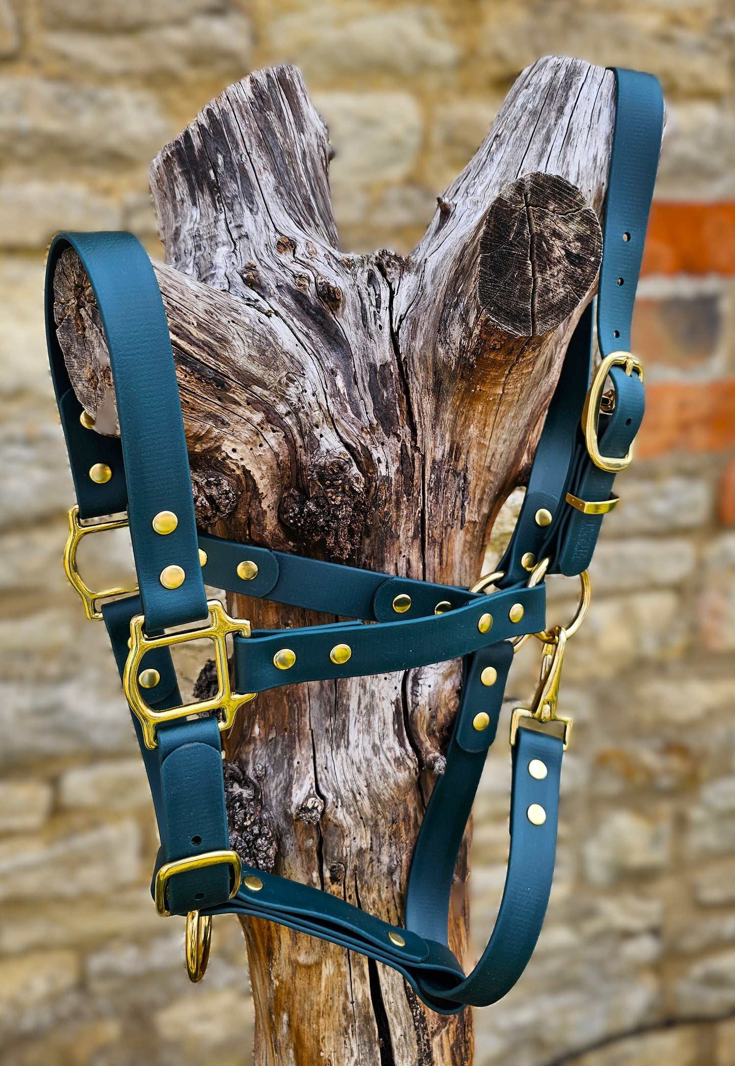 Premium Head Collar Collection