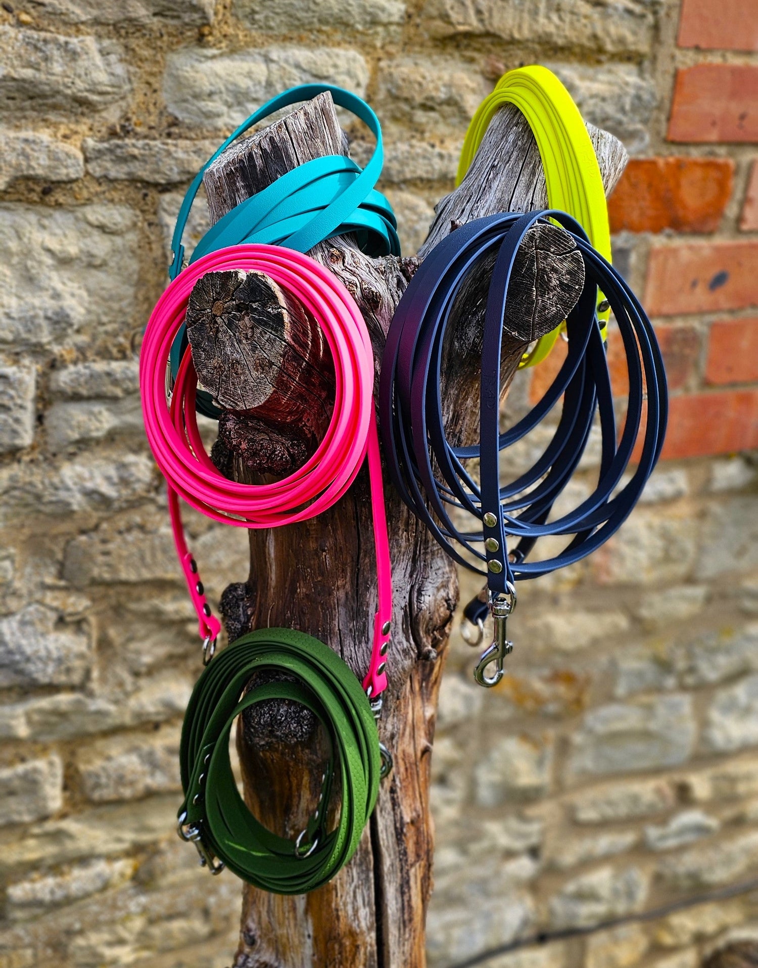 Waterproof Webbing Horse Lunge Lines