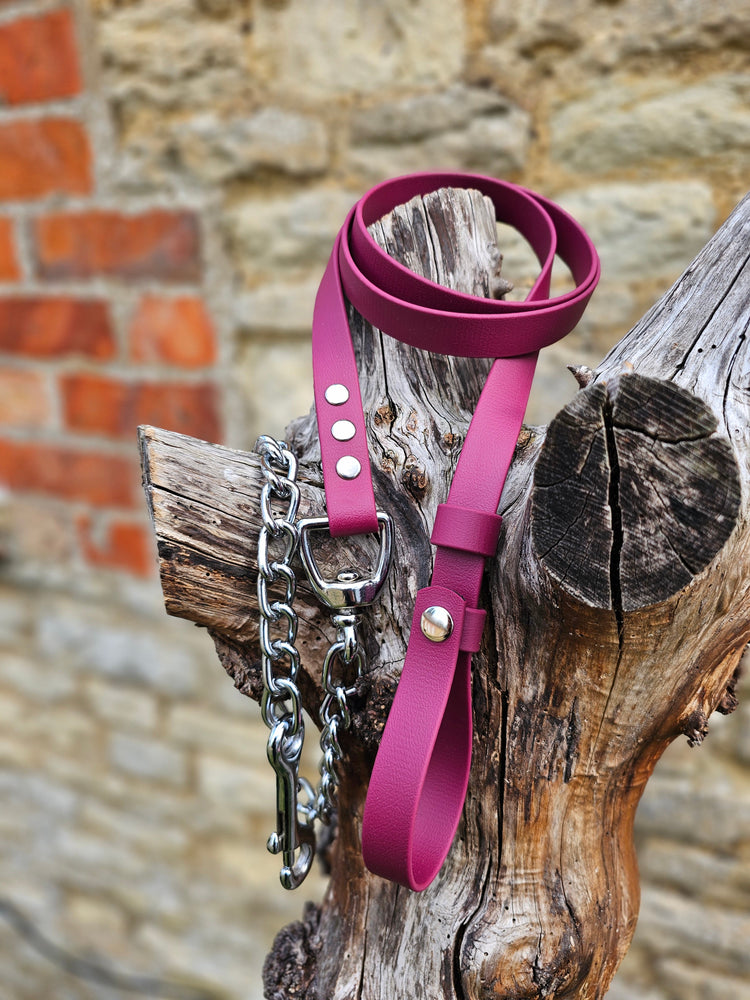 Waterproof Biothane® break-away Lead Line with Chain
