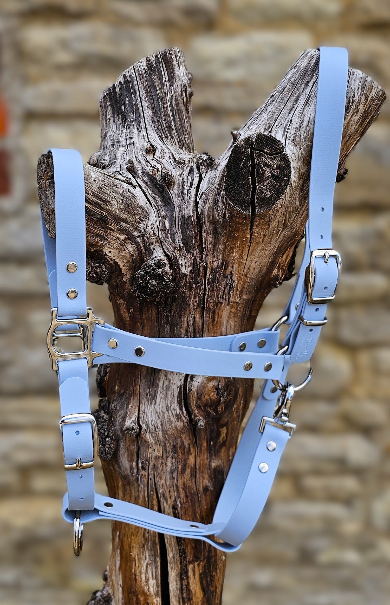 Classic Head Halter Collection