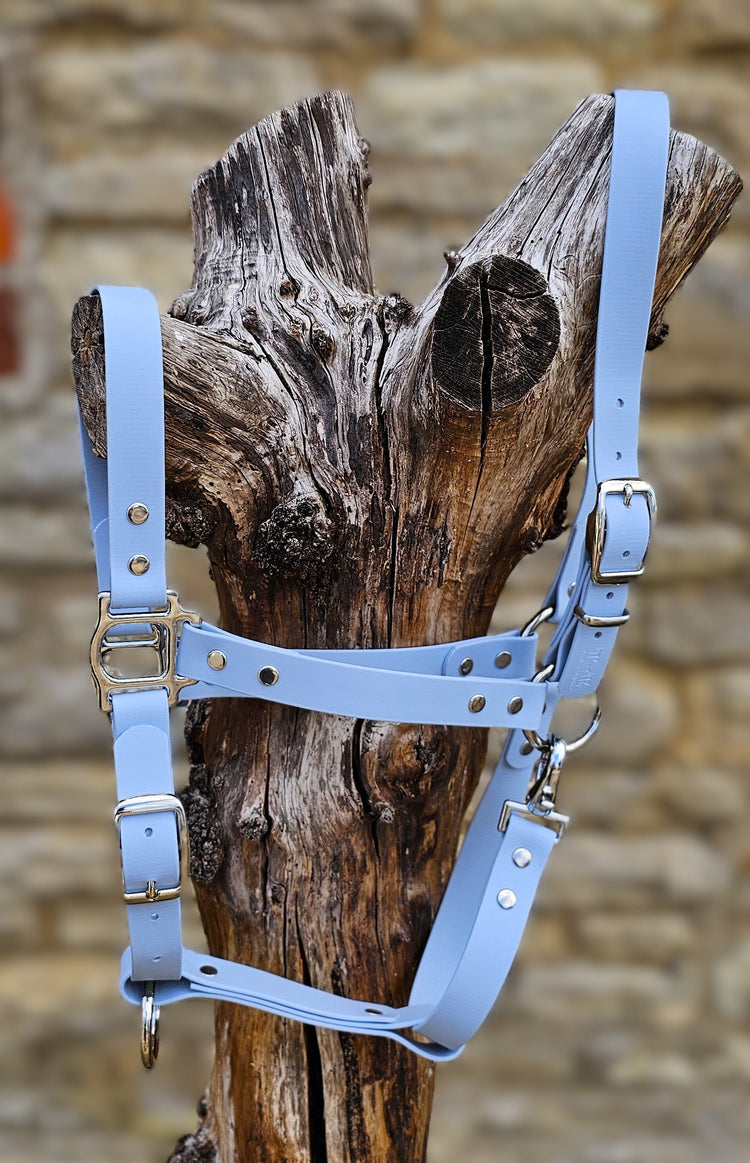 Classic Head Halter Collection
