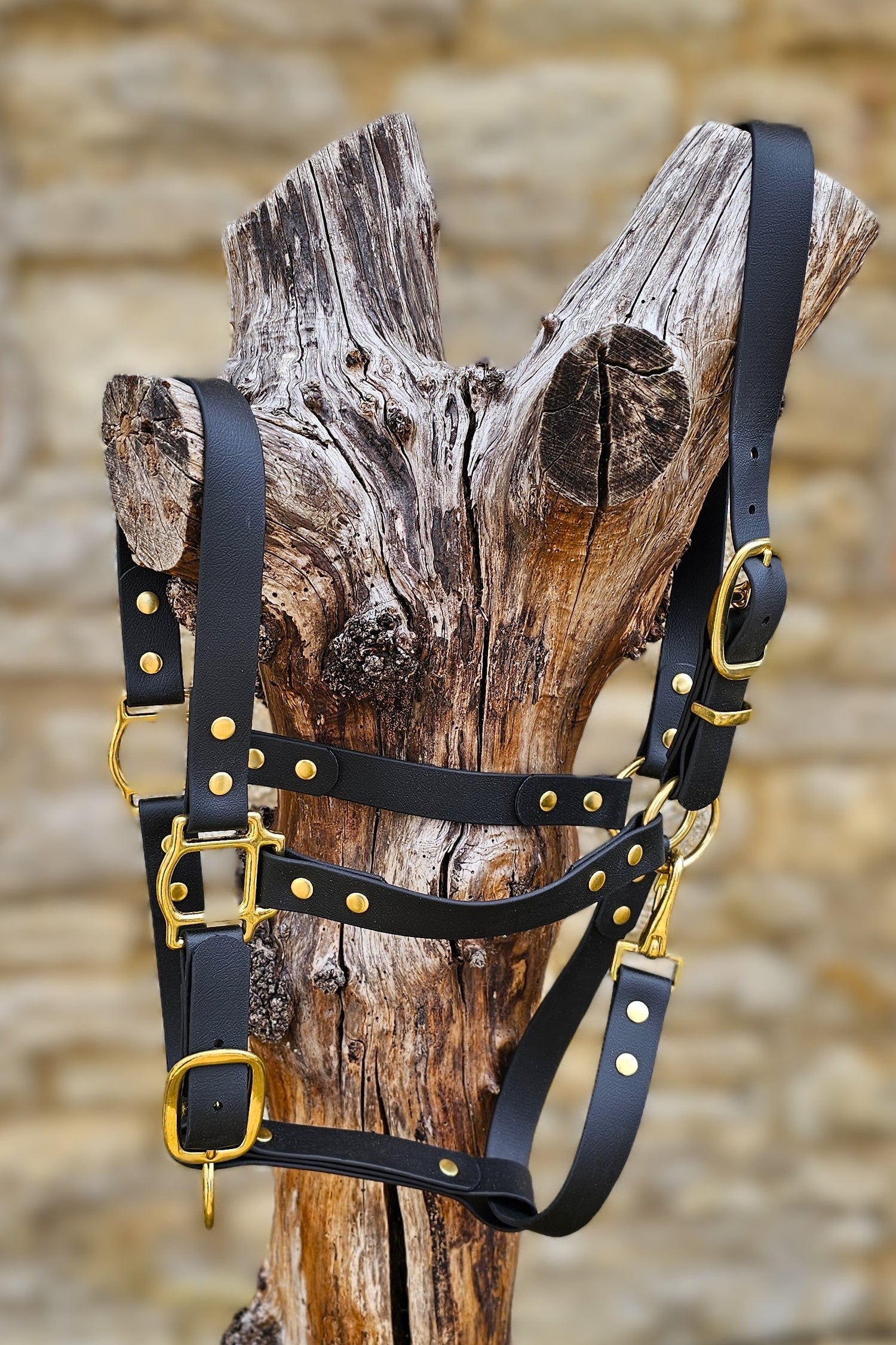 Waterproof BioThane Horse Halter Collection (Headcollars)