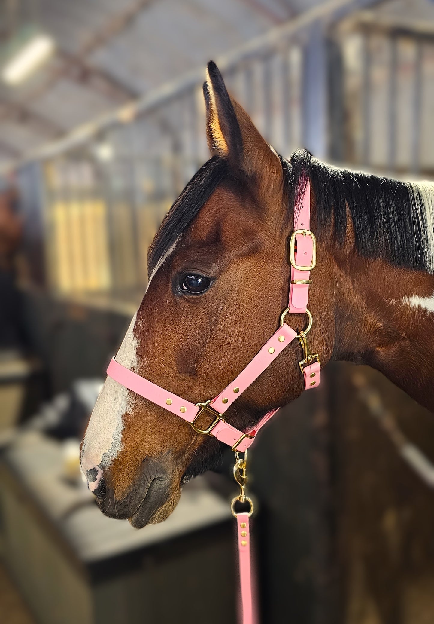 Baby Pink - Premium BioThane® waterproof Horse Halter