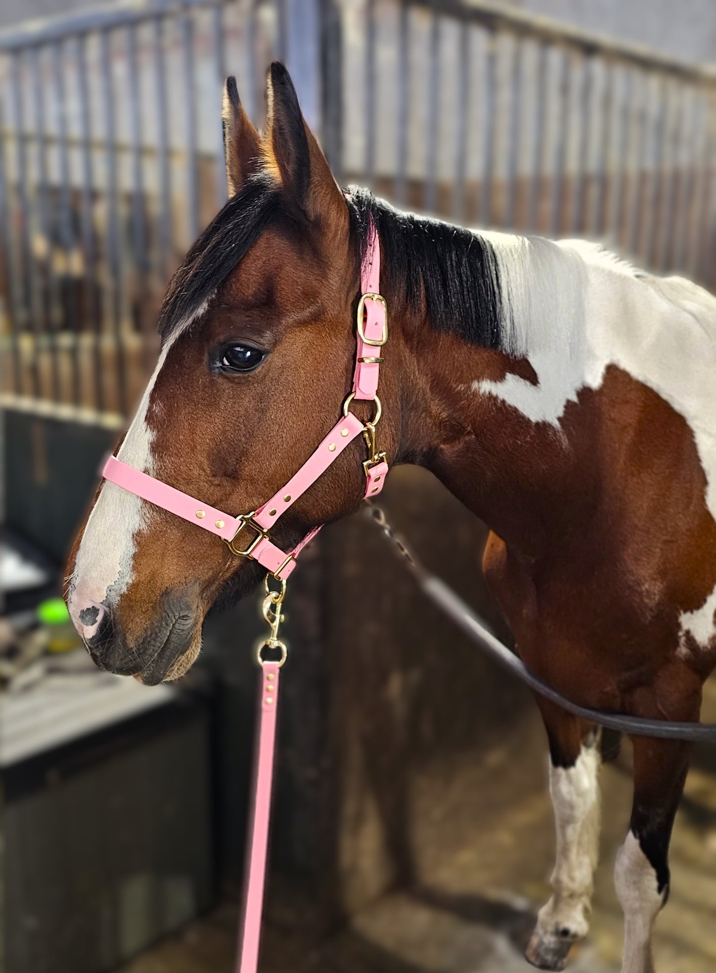 Baby Pink - Premium BioThane® waterproof Horse Halter