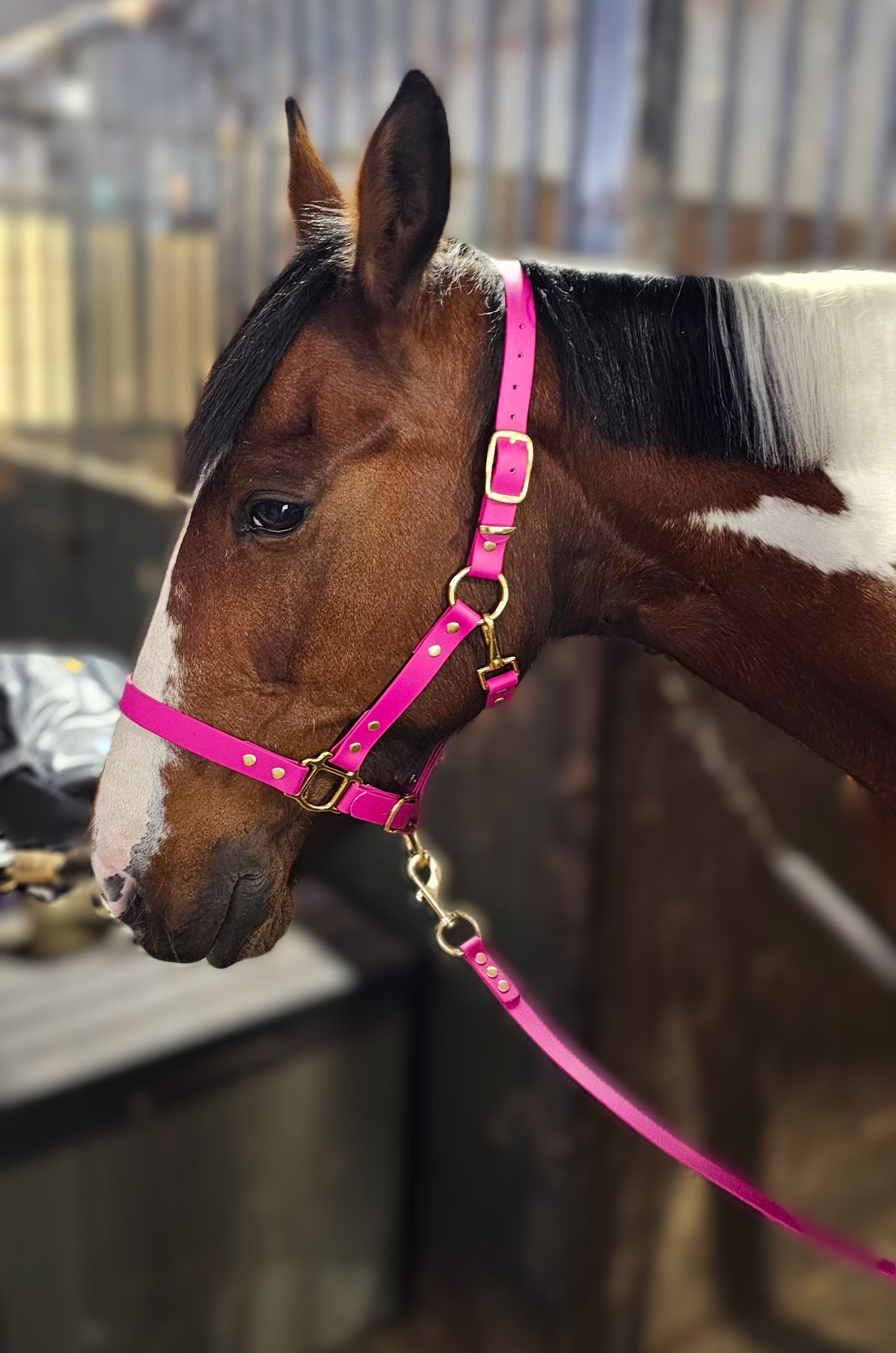 Magenta - Premium BioThane® waterproof Horse Halter