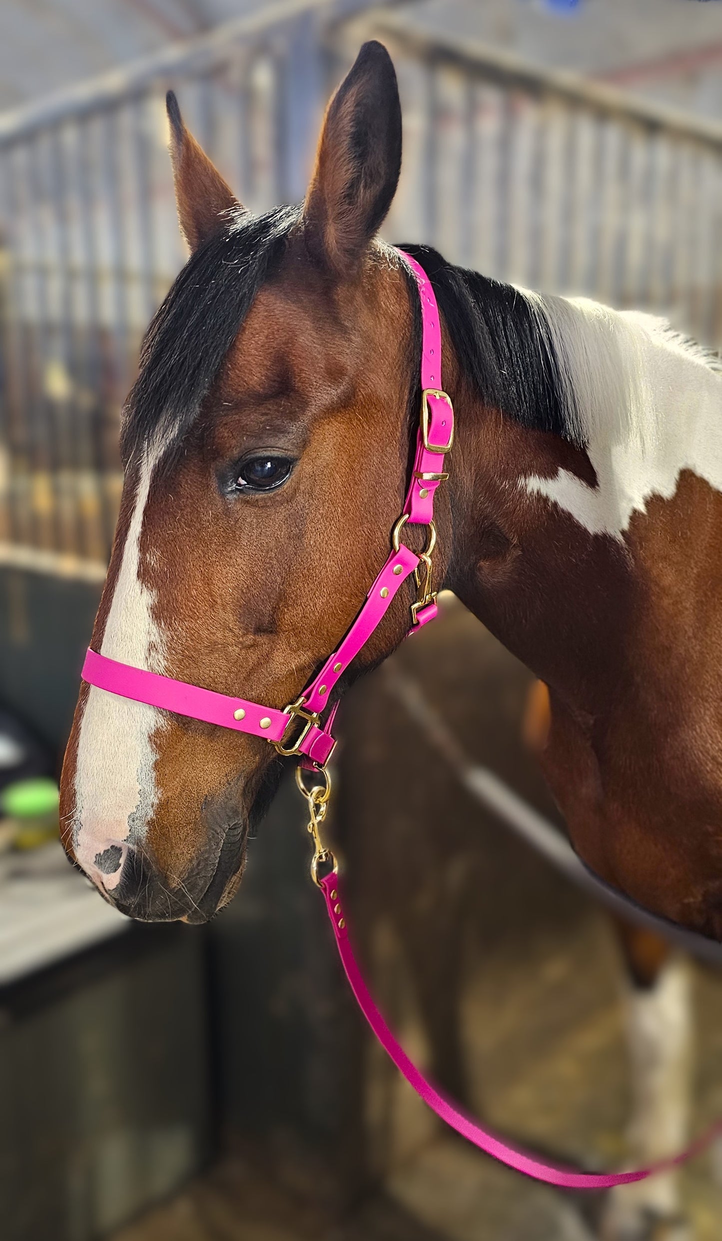 Magenta - Premium BioThane® waterproof Horse Halter