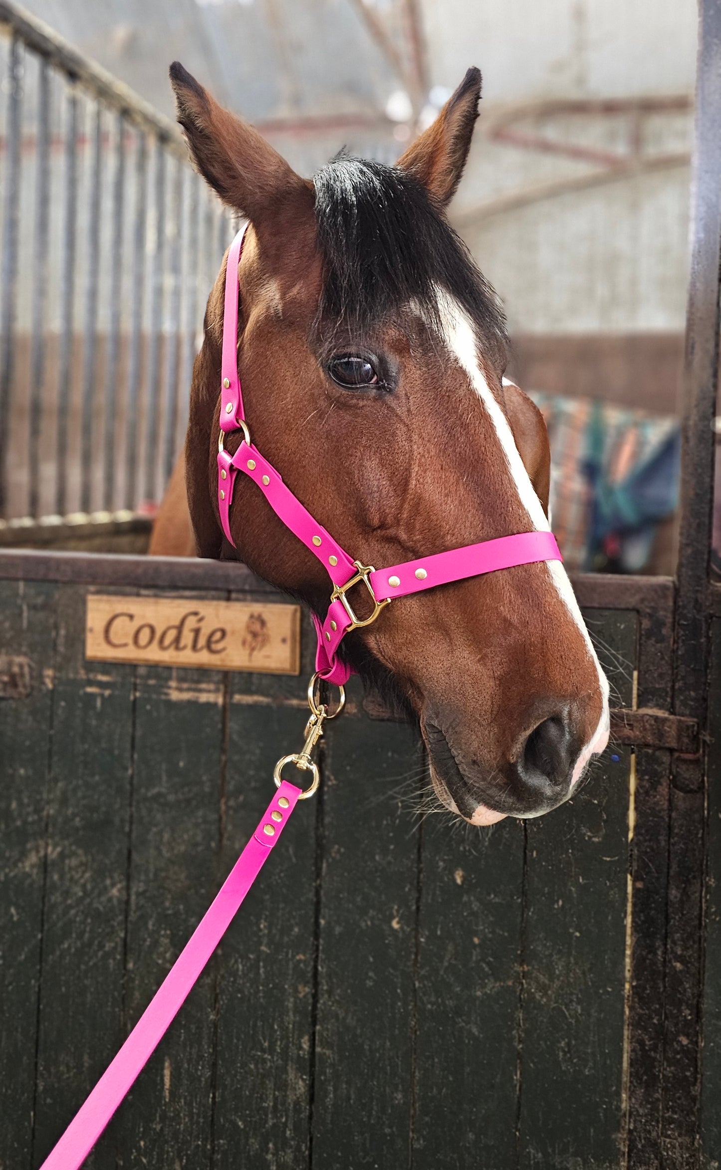 Magenta - Premium BioThane® waterproof Horse Halter