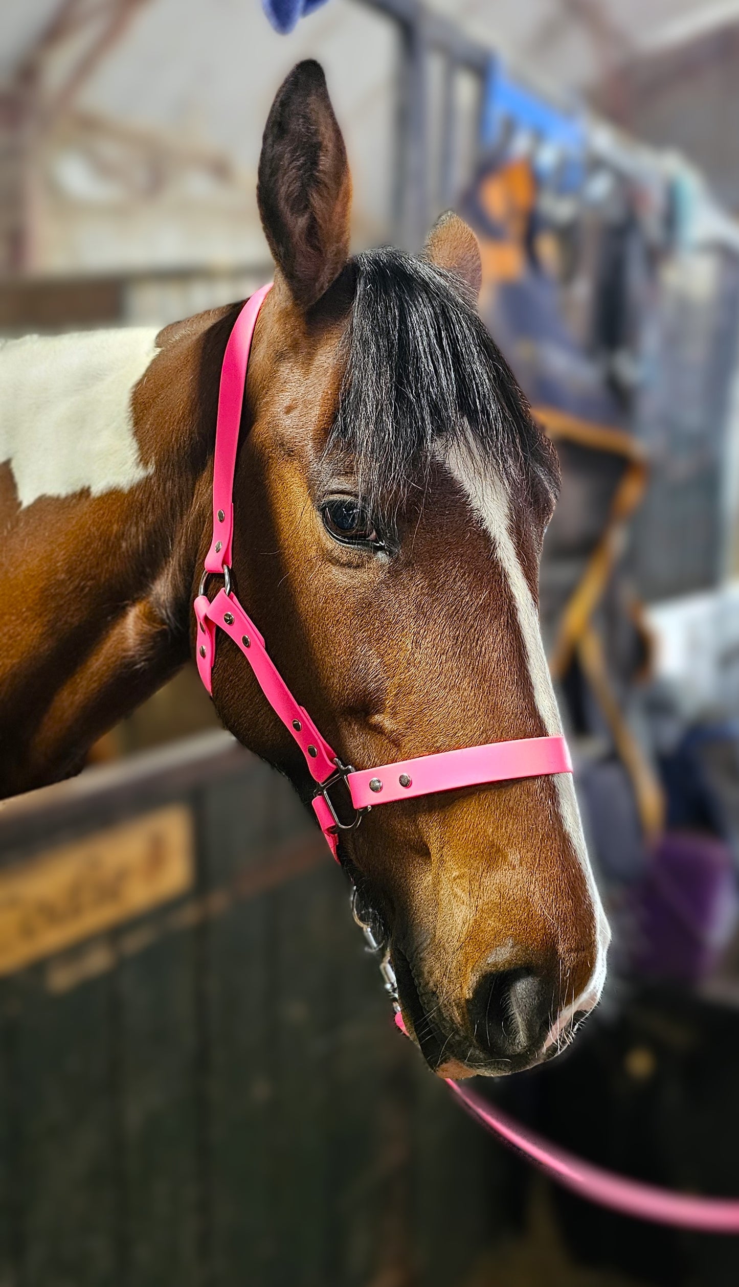 Neon Pink - Classic BioThane® waterproof Horse Halter