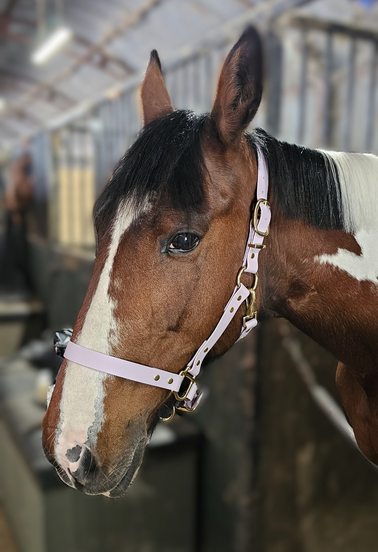 Lilac - Classic BioThane® waterproof Horse Halter
