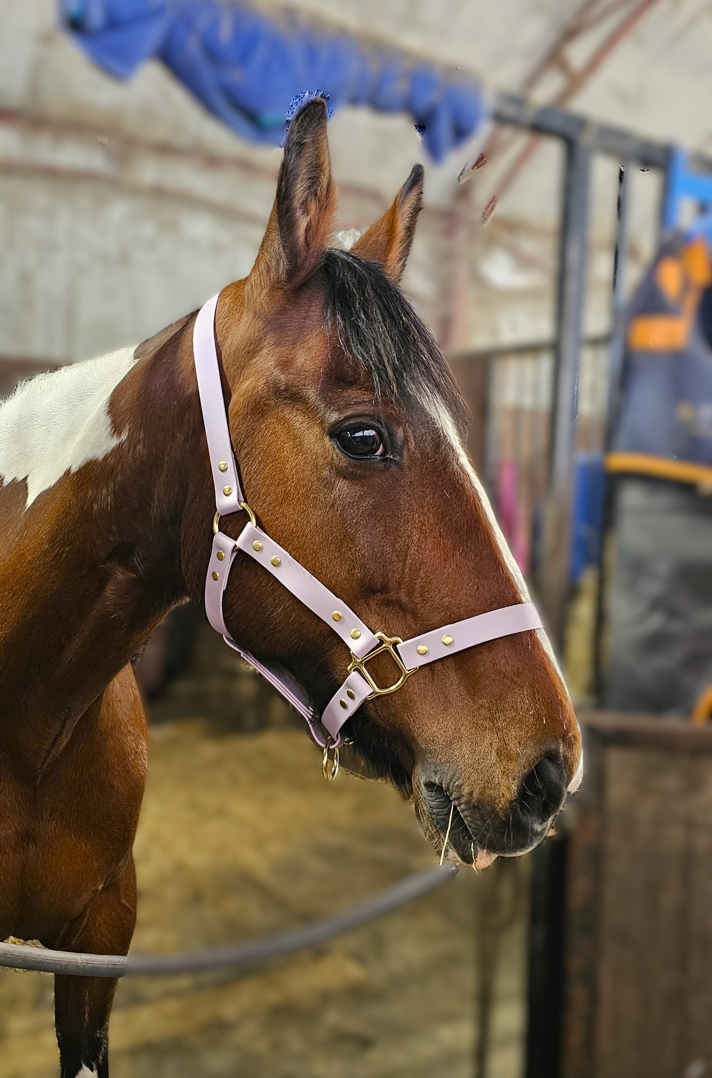 Lilac - Classic BioThane® waterproof Horse Halter