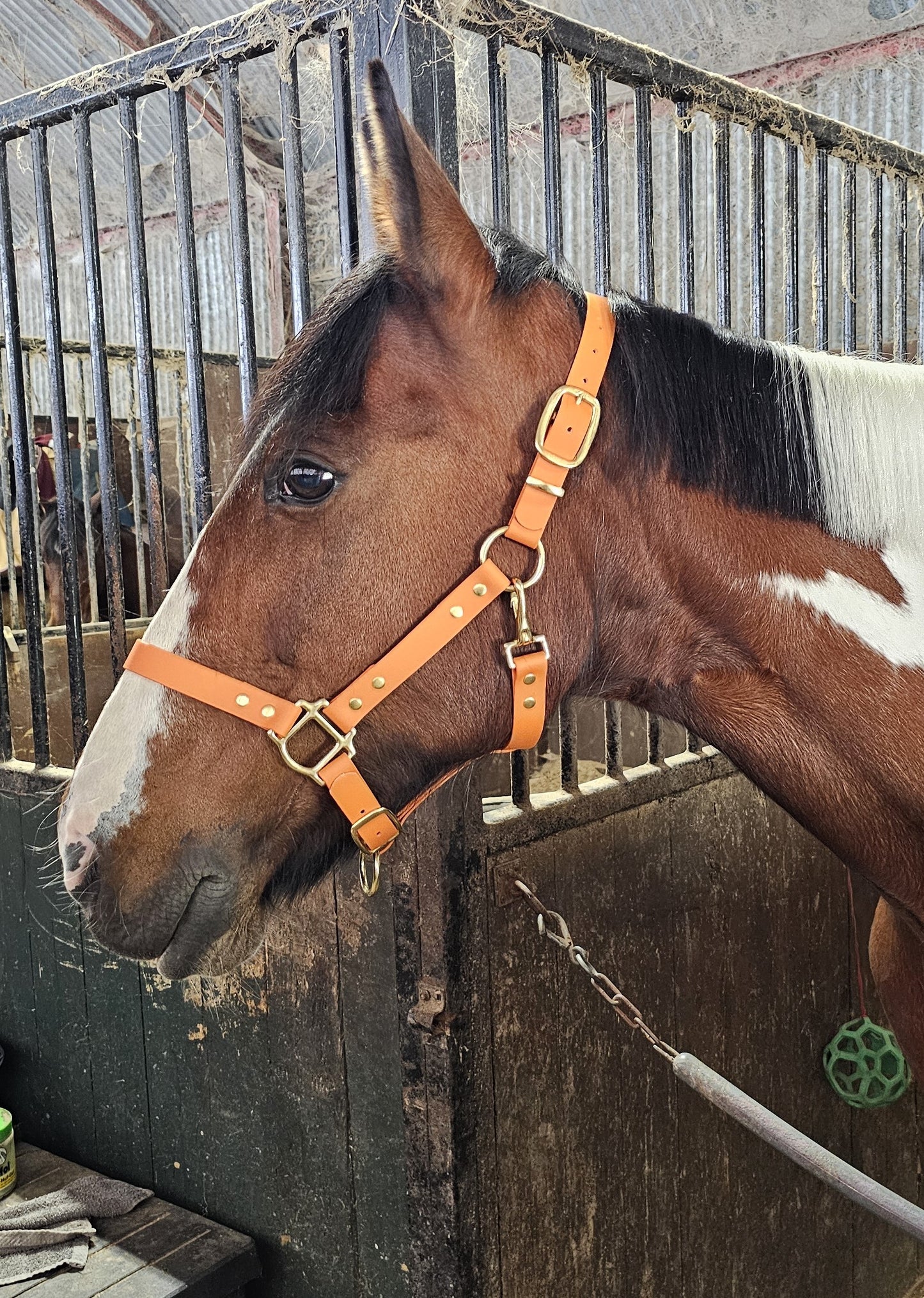 Burnt Orange - Premium BioThane® waterproof Horse Halter