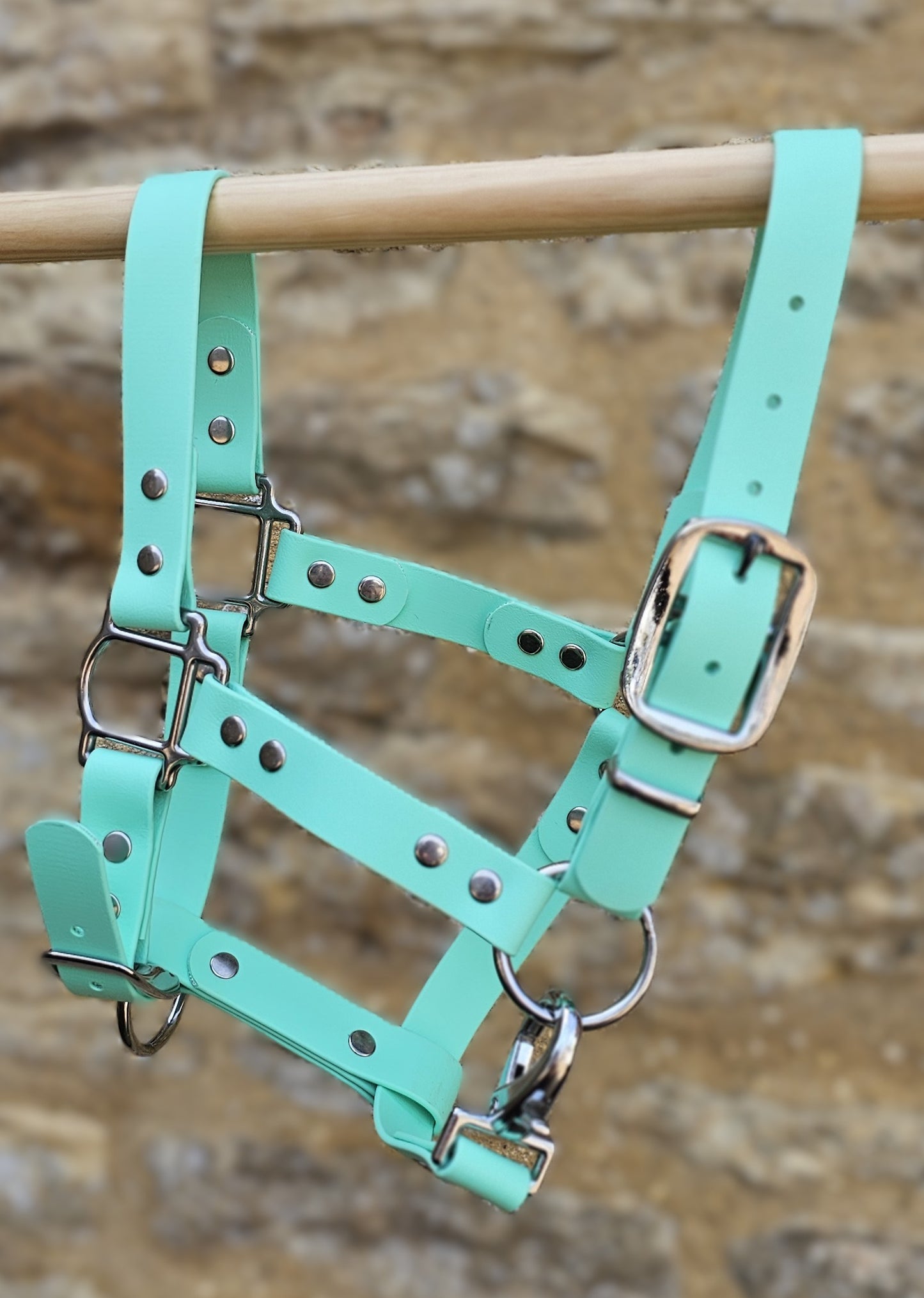 Design Your Own - BioThane® waterproof Horse Head Collar / Horse Halter