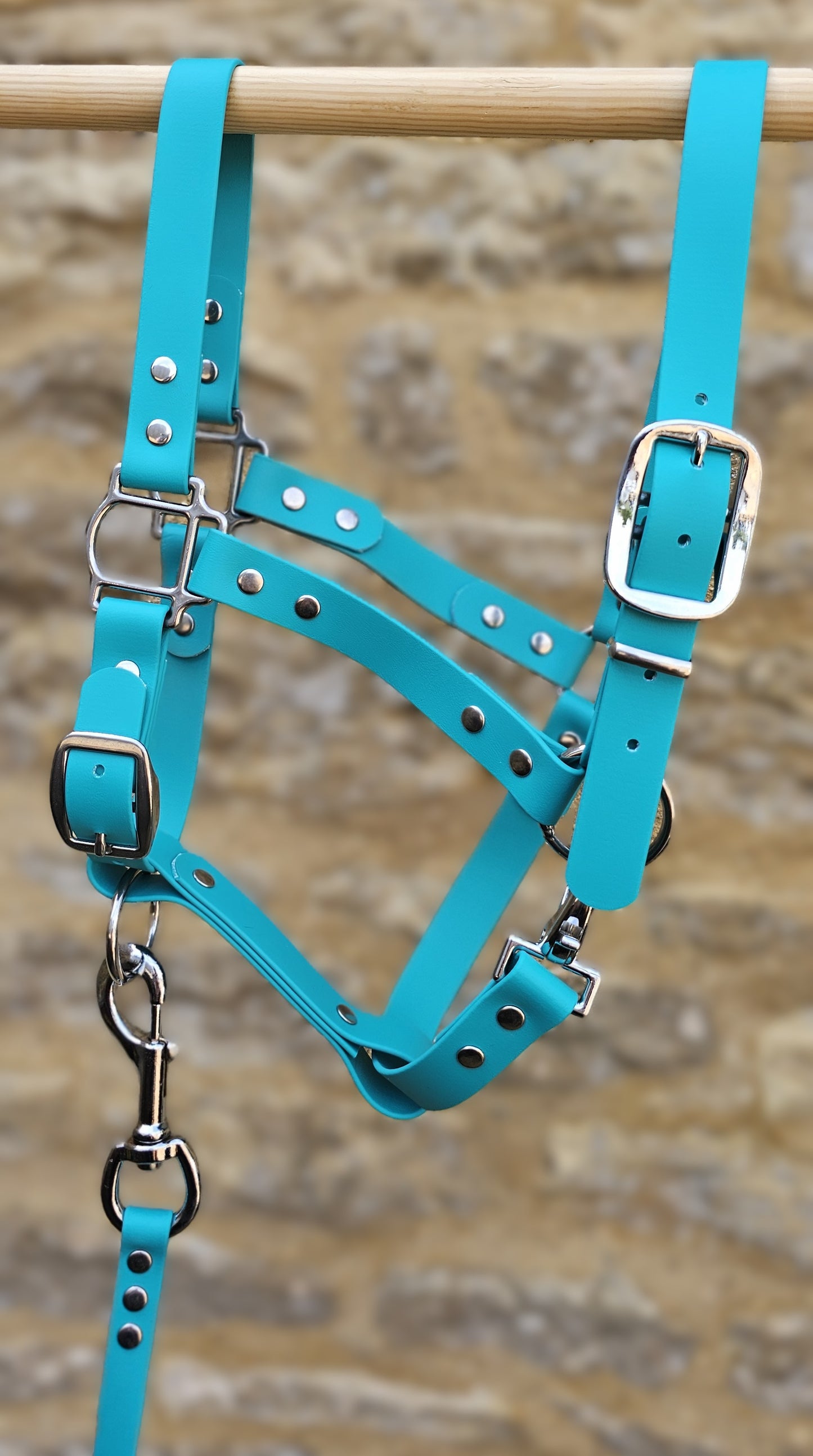 Design Your Own - BioThane® waterproof Horse Head Collar / Horse Halter