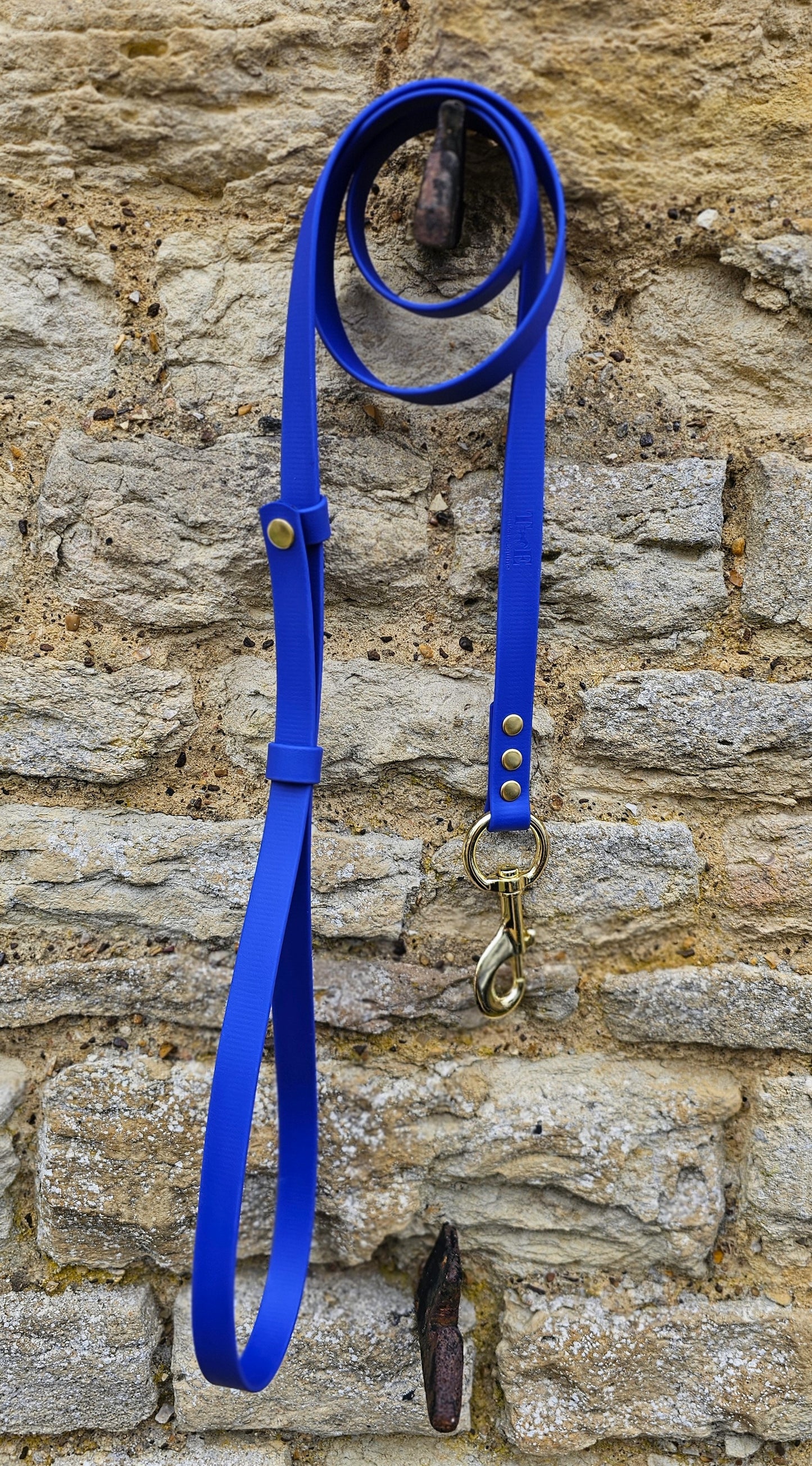 Royal Blue - Waterproof BioThane® Break-Away Lead Line
