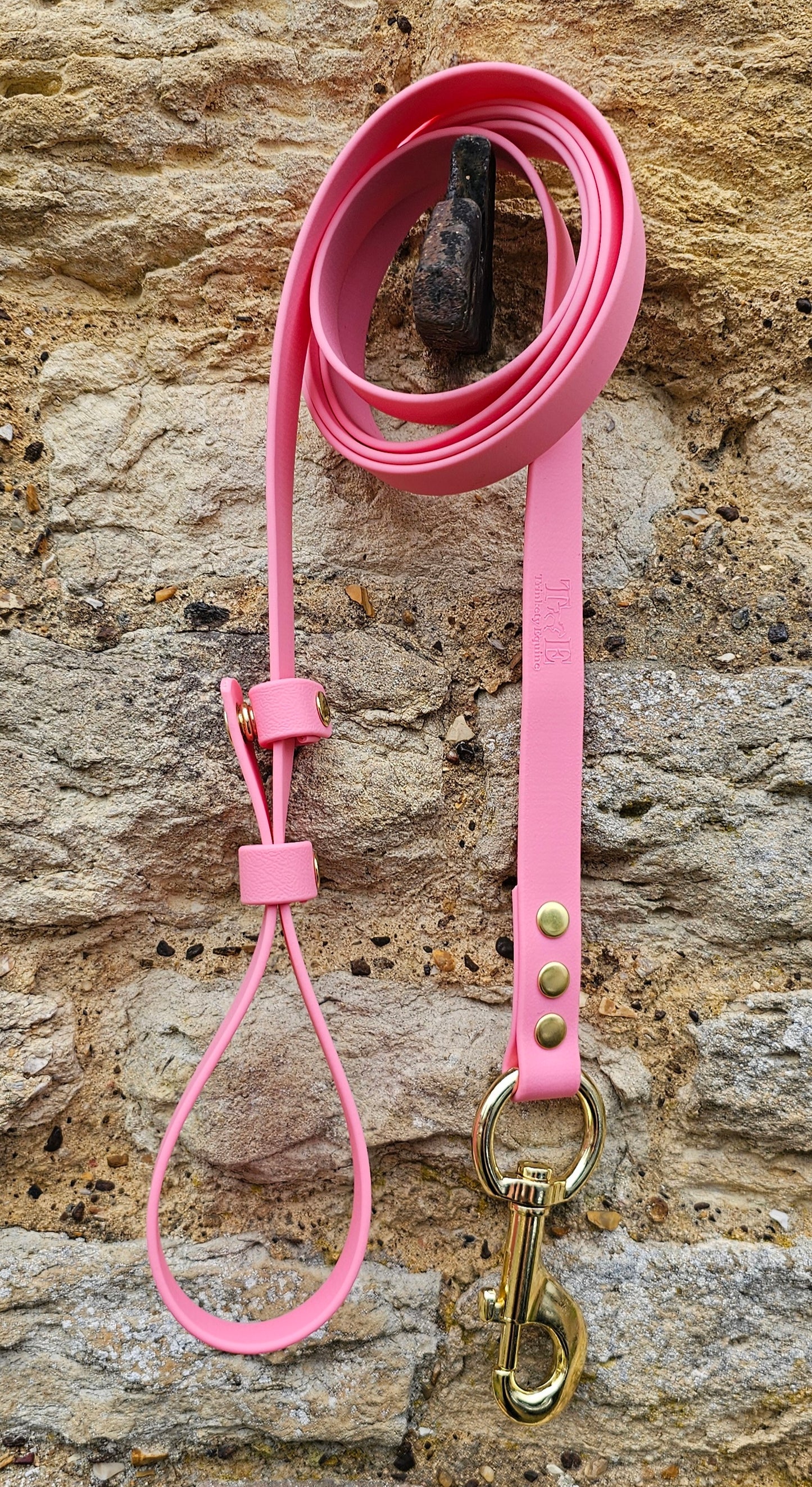 Baby Pink - Waterproof BioThane® Break-Away Lead Line