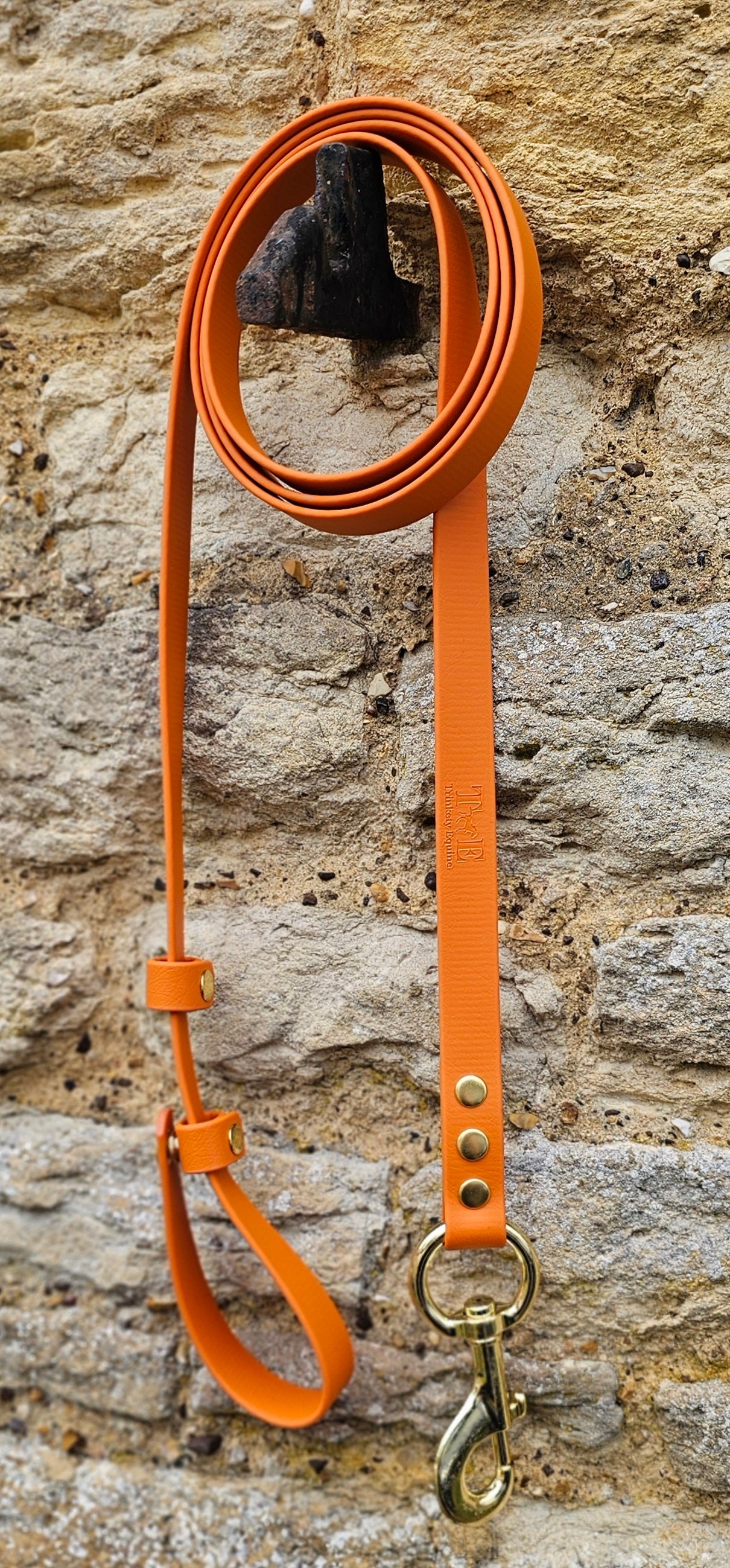 Burnt Orange - Waterproof BioThane® Break-Away Lead Line