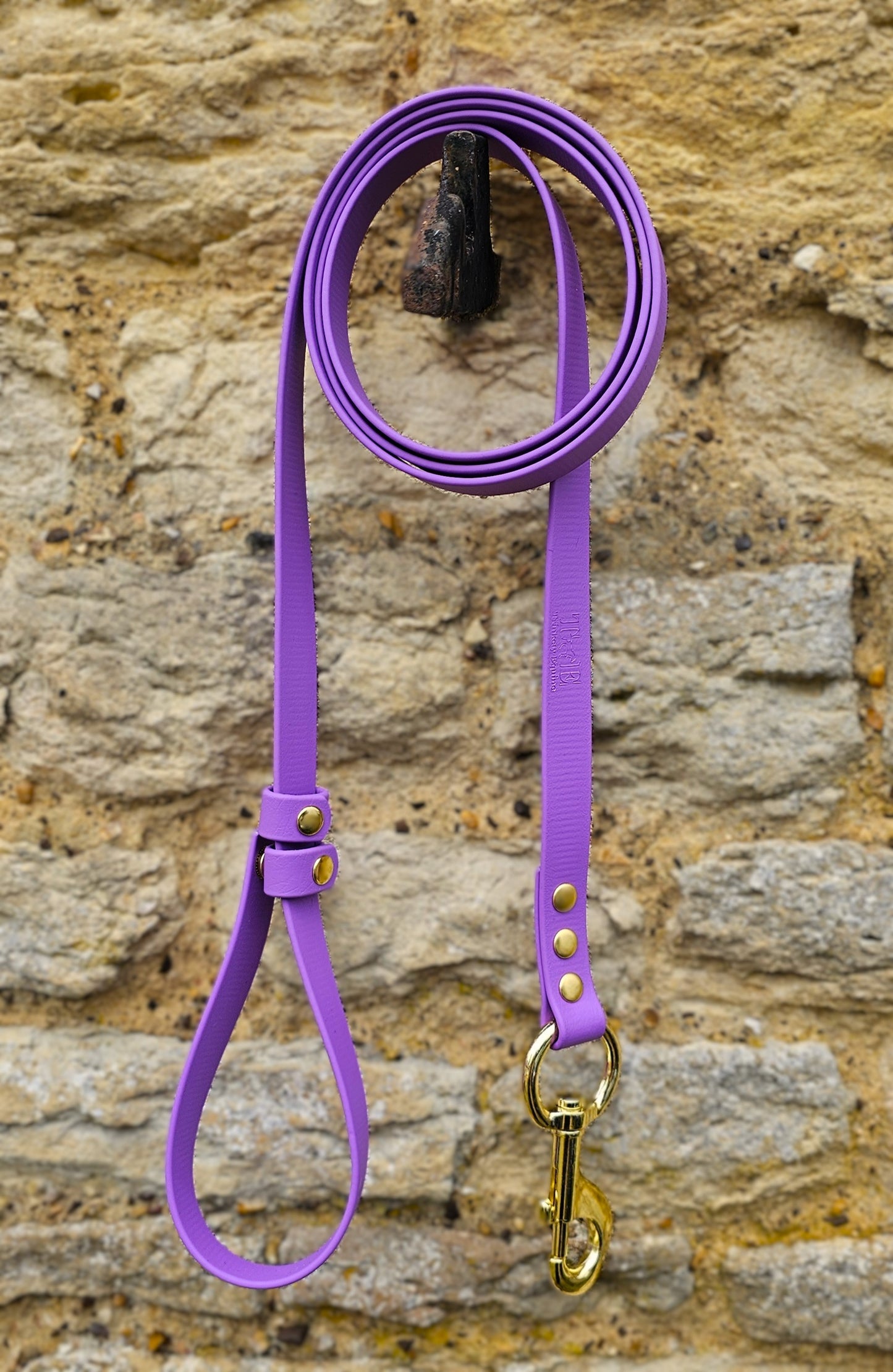 Amethyst- Waterproof BioThane® Break-Away Lead Line