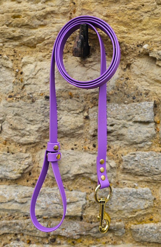 Amethyst- Waterproof BioThane® Break-Away Lead Line