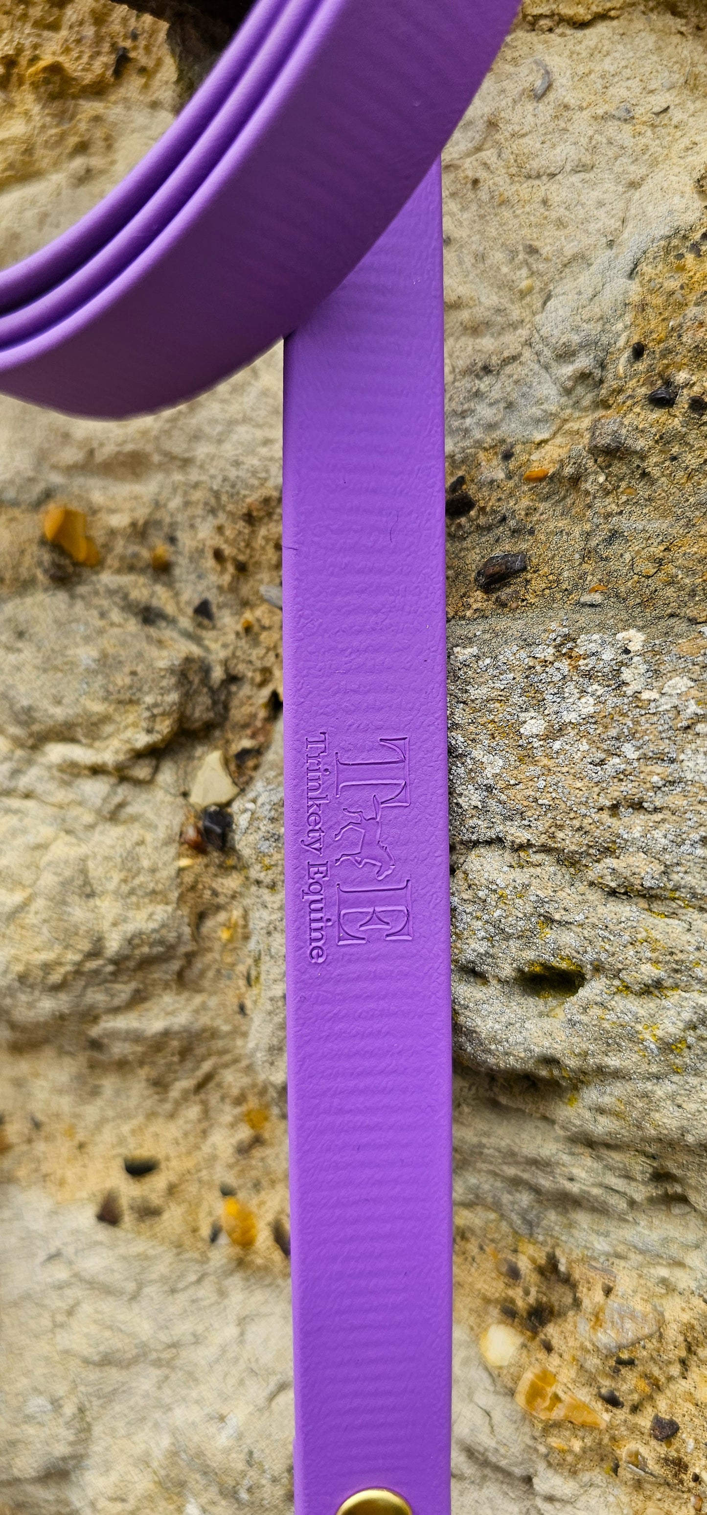 Amethyst- Waterproof BioThane® Break-Away Lead Line