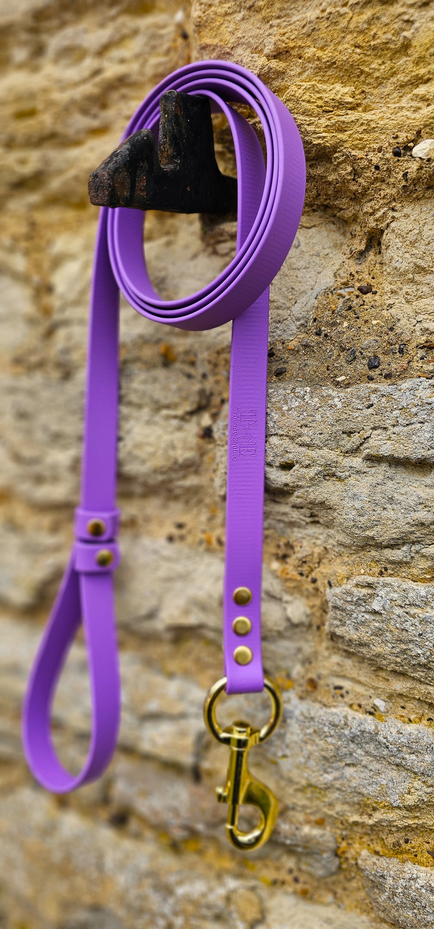 Amethyst- Waterproof BioThane® Break-Away Lead Line