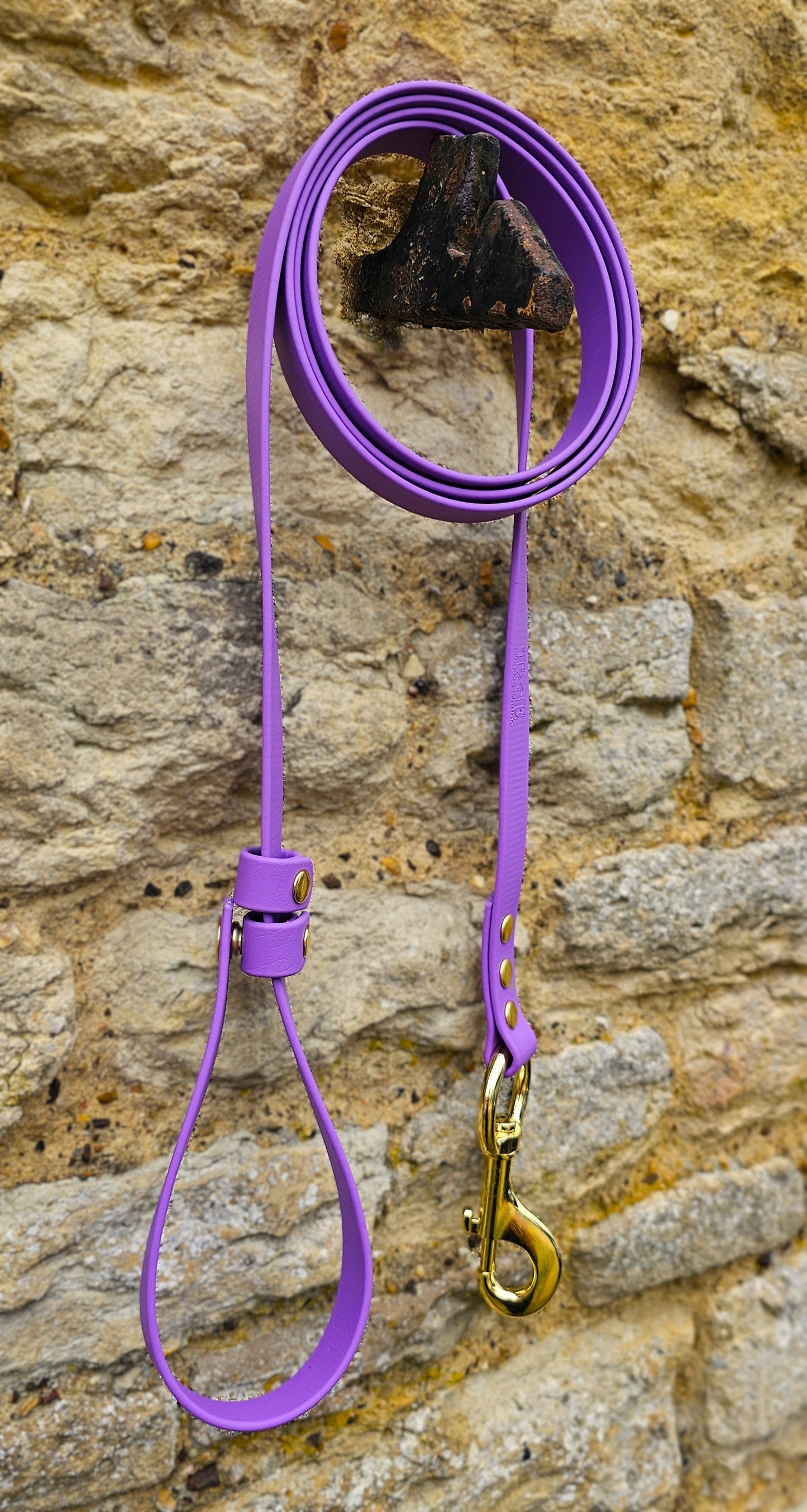 Amethyst- Waterproof BioThane® Break-Away Lead Line