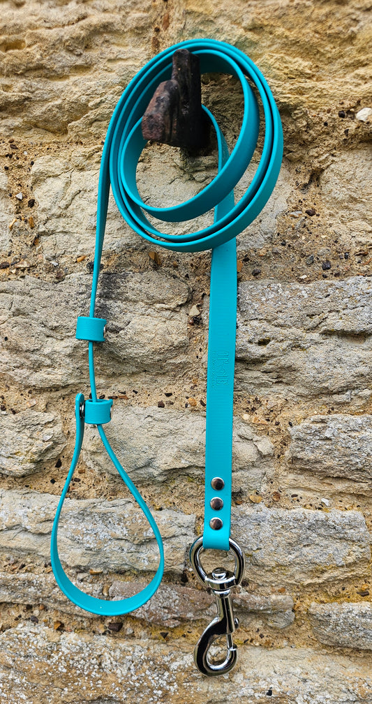 Teal - Waterproof BioThane® Break-Away Lead Line