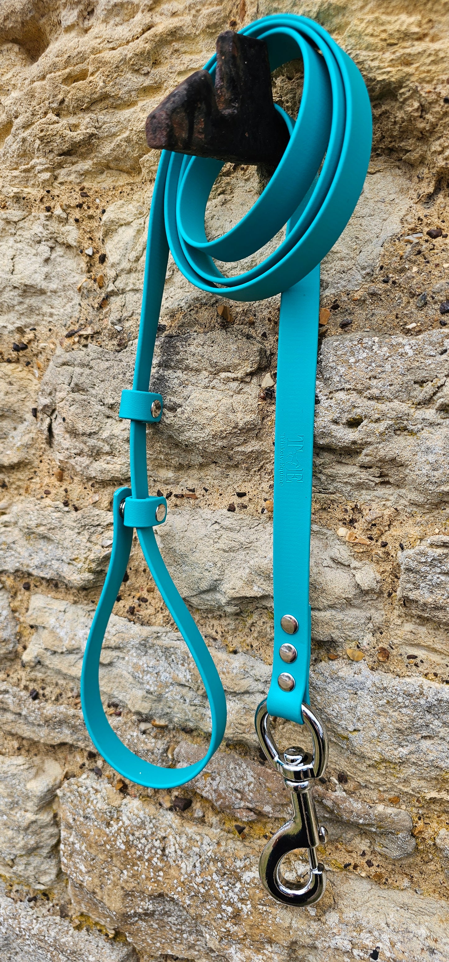 Teal - Waterproof BioThane® Break-Away Lead Line