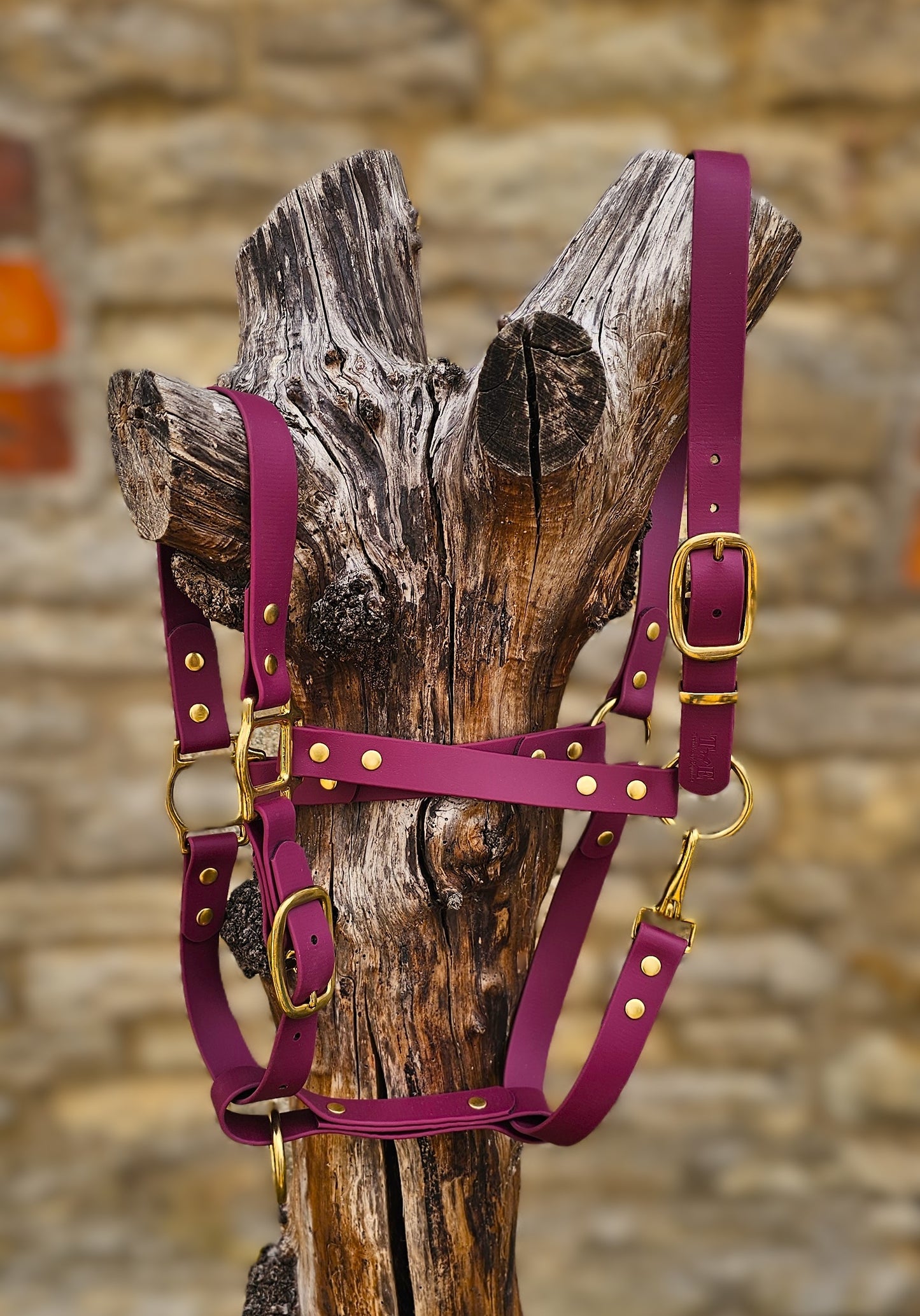 Burgundy - Premium BioThane® waterproof Horse Halter