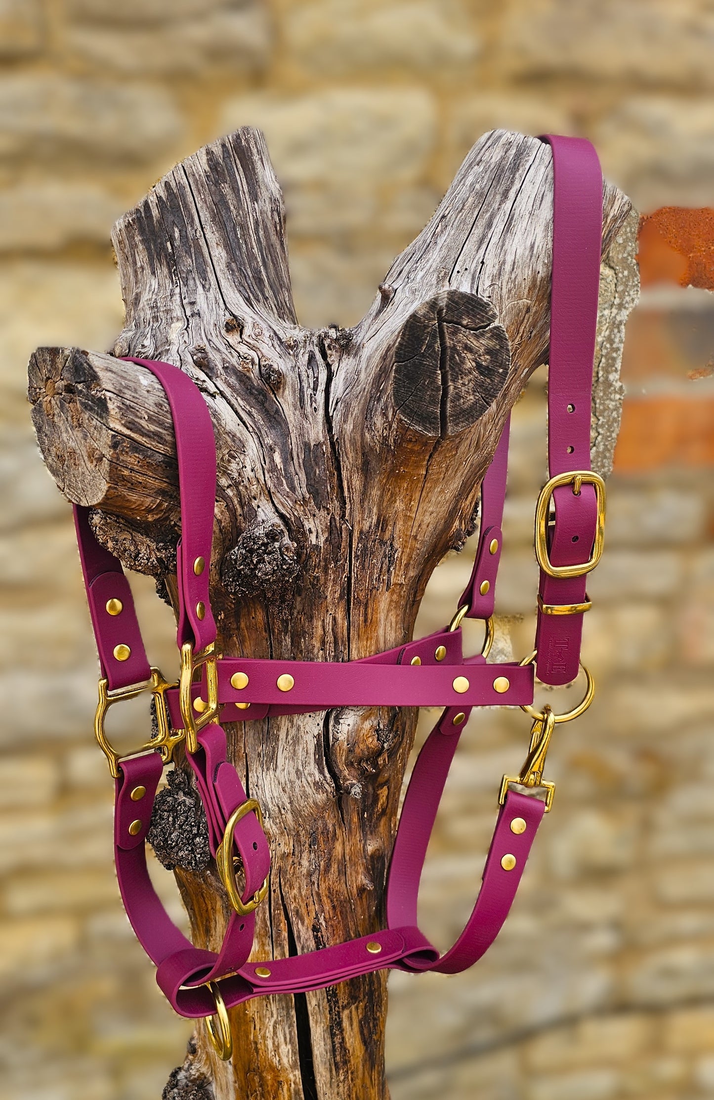 Burgundy - Premium BioThane® waterproof Horse Halter