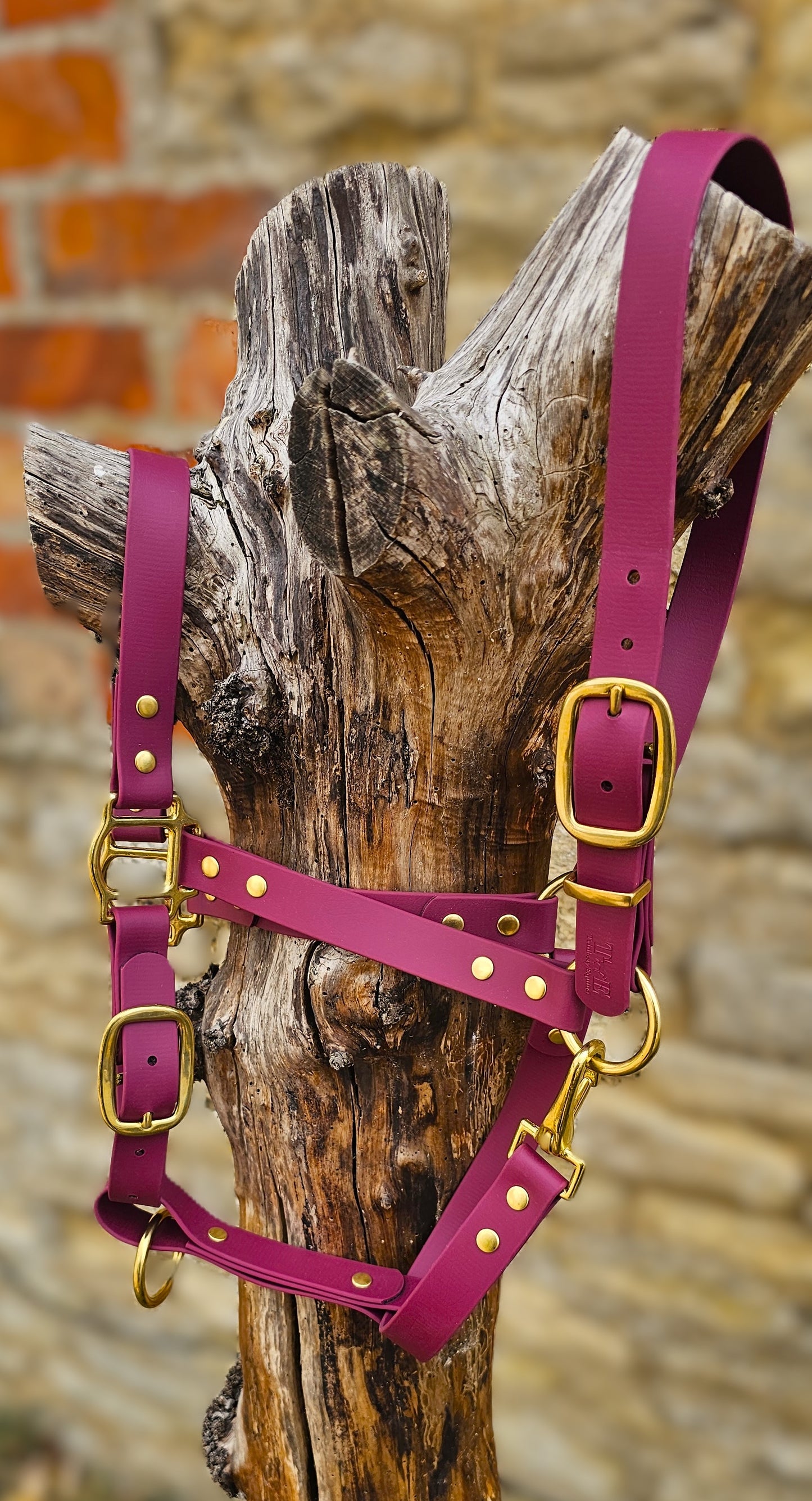 Burgundy - Premium BioThane® waterproof Horse Halter