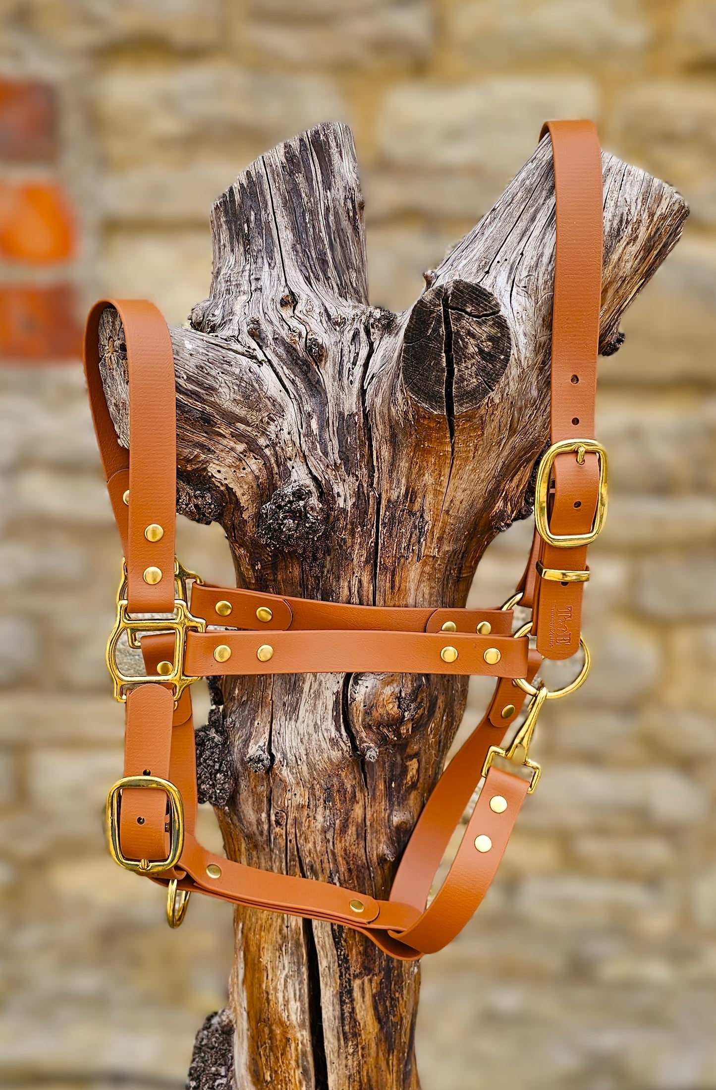 Tan - Premium BioThane® waterproof Horse Halter