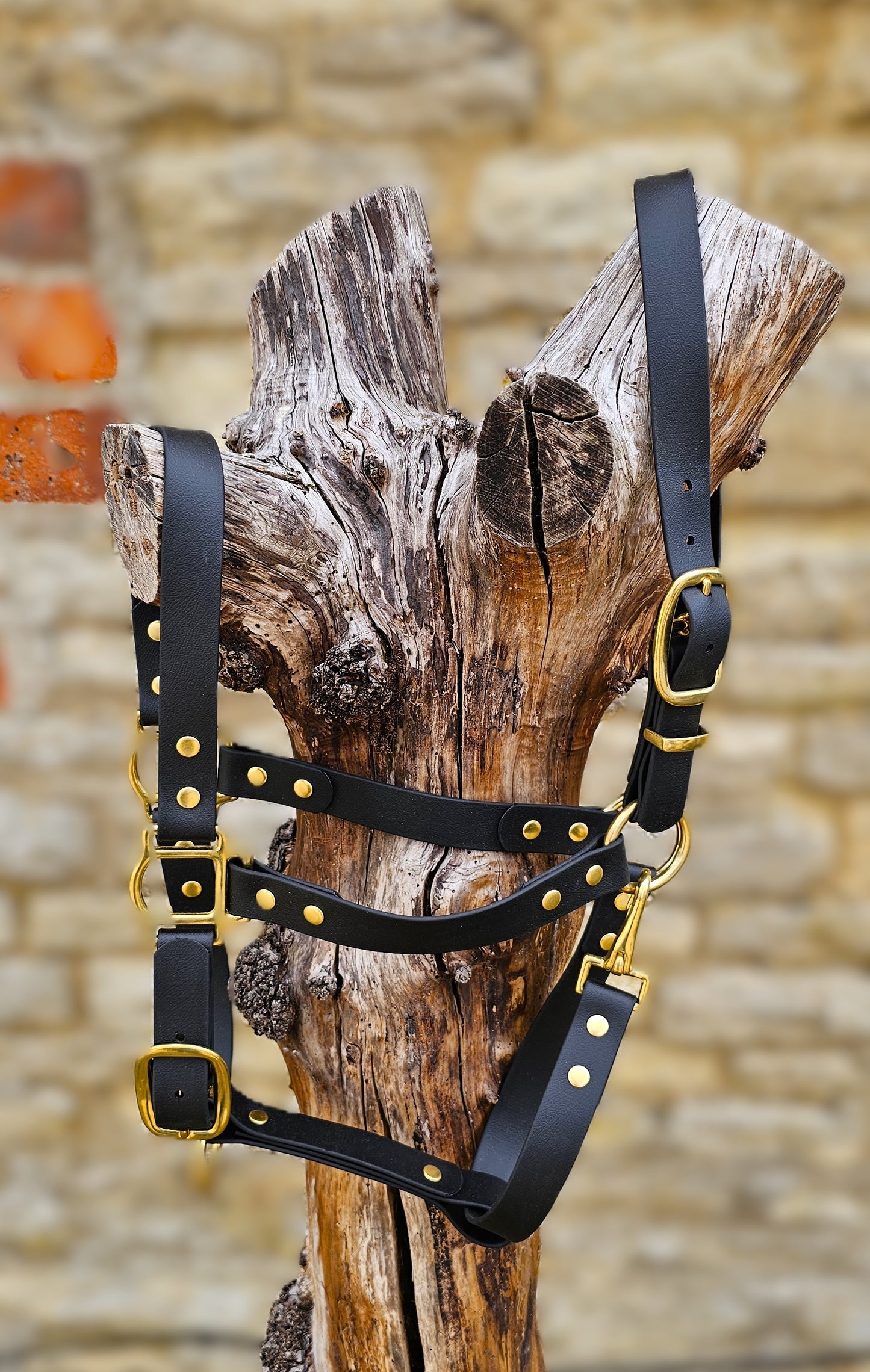 Black - Premium BioThane® waterproof Horse Halter