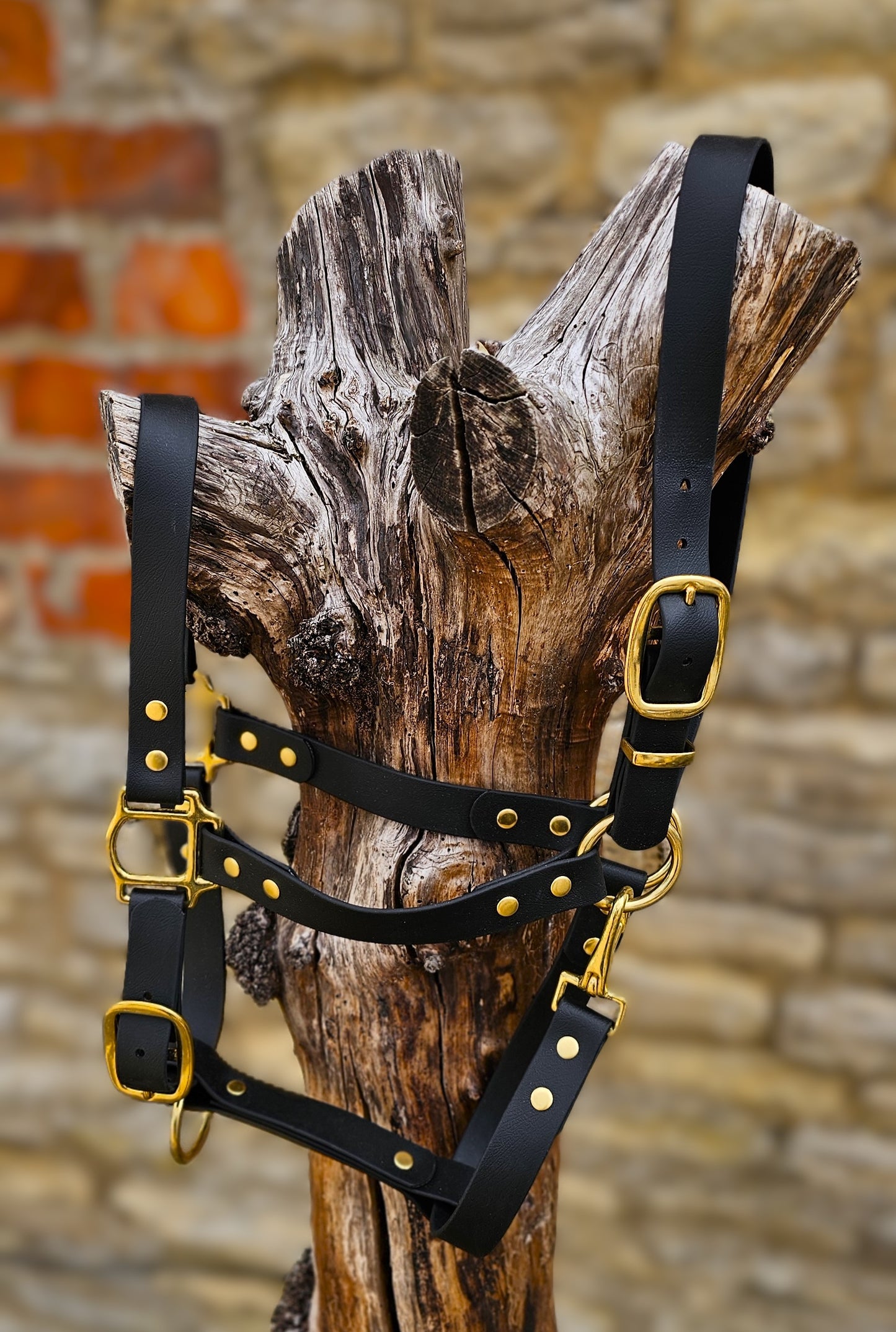 Black - Premium BioThane® waterproof Horse Halter