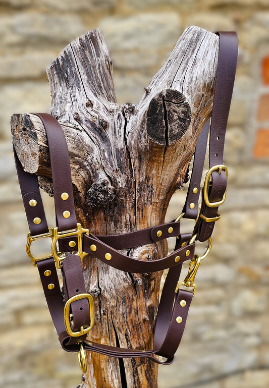 Dark Brown - Premium BioThane® waterproof Horse Halter