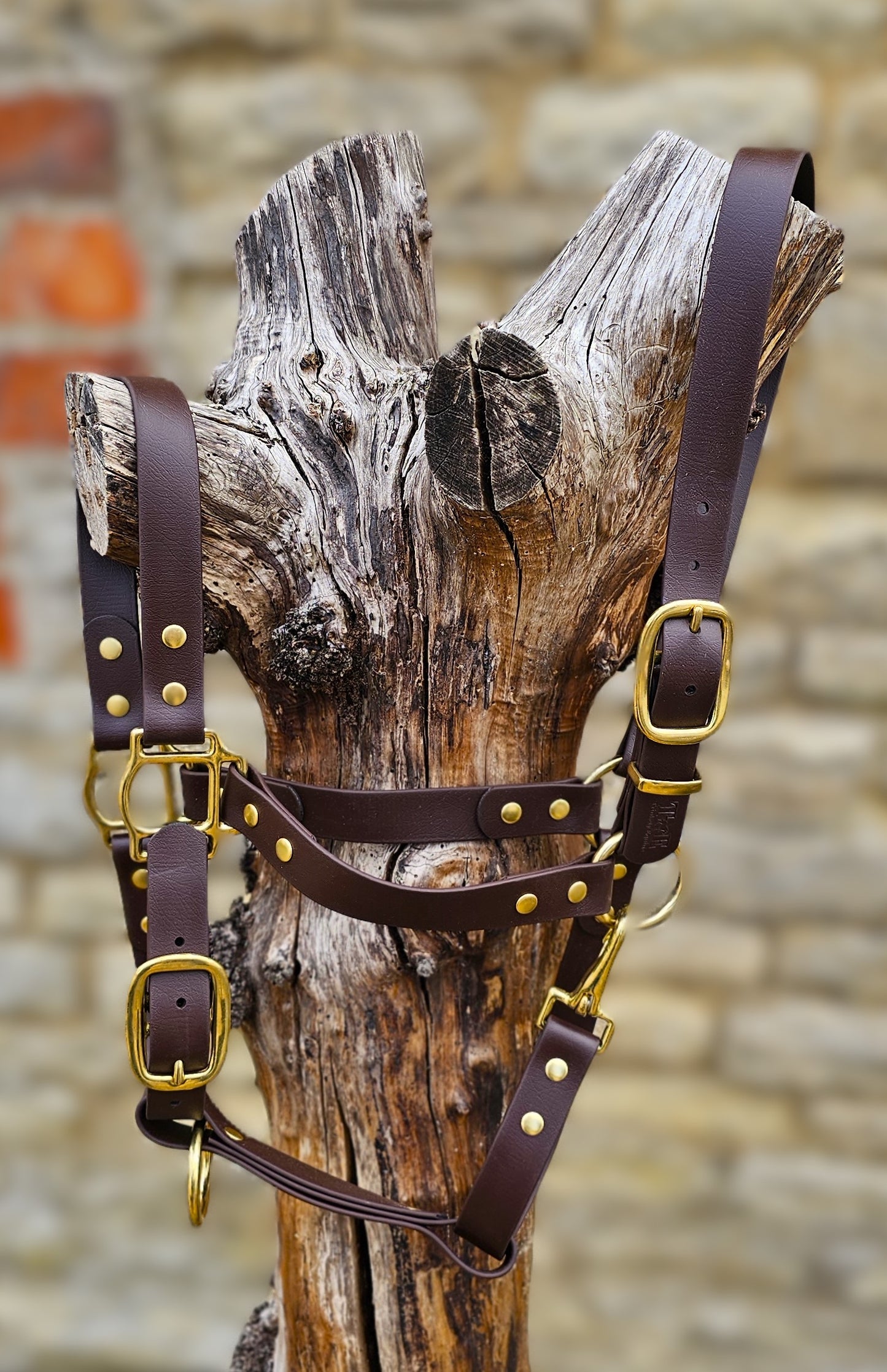 Dark Brown - Premium BioThane® waterproof Horse Halter