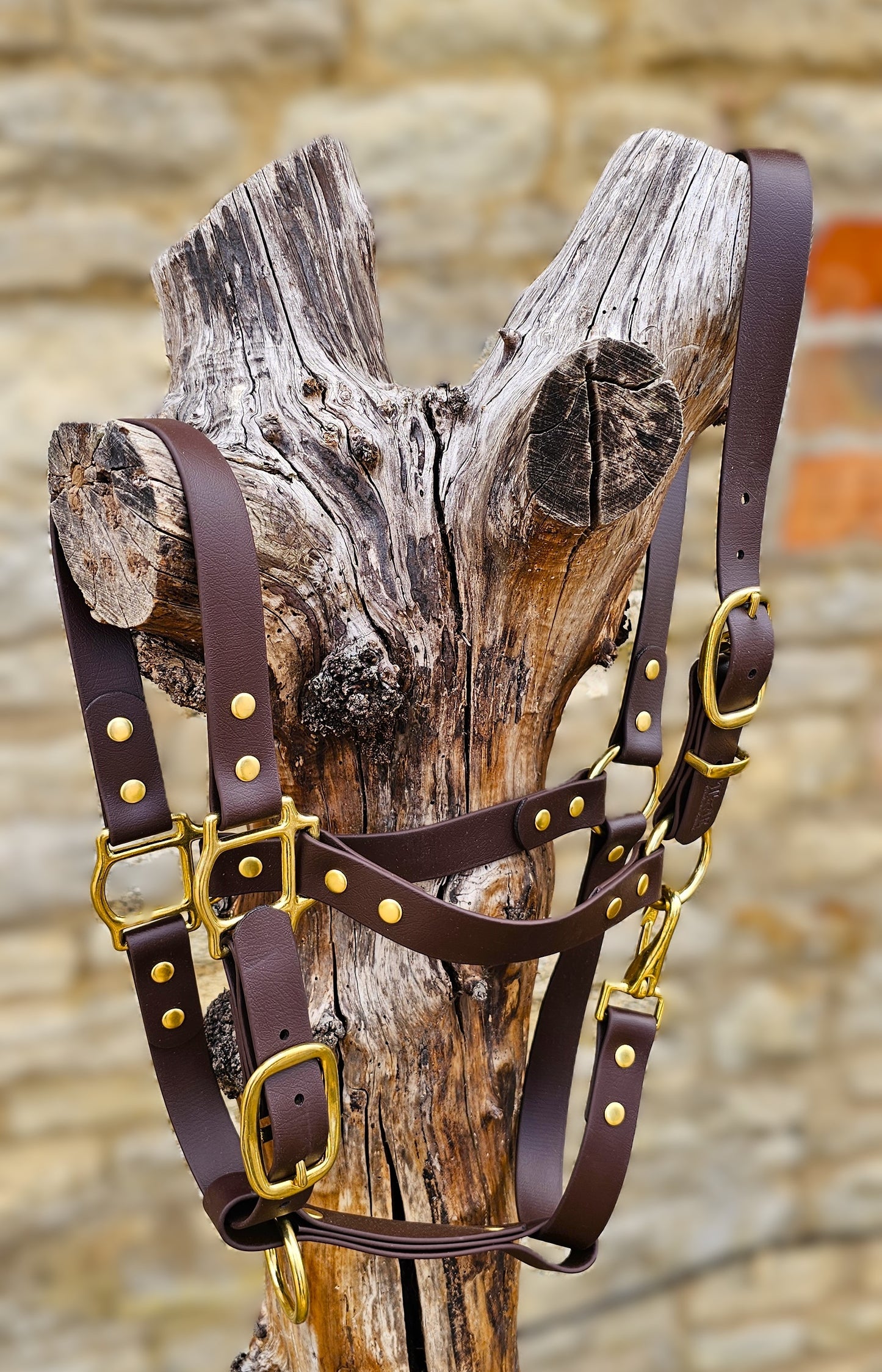 Dark Brown - Premium BioThane® waterproof Horse Halter