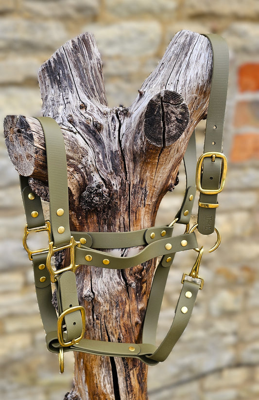 Olive - Premium BioThane® waterproof Horse Halter