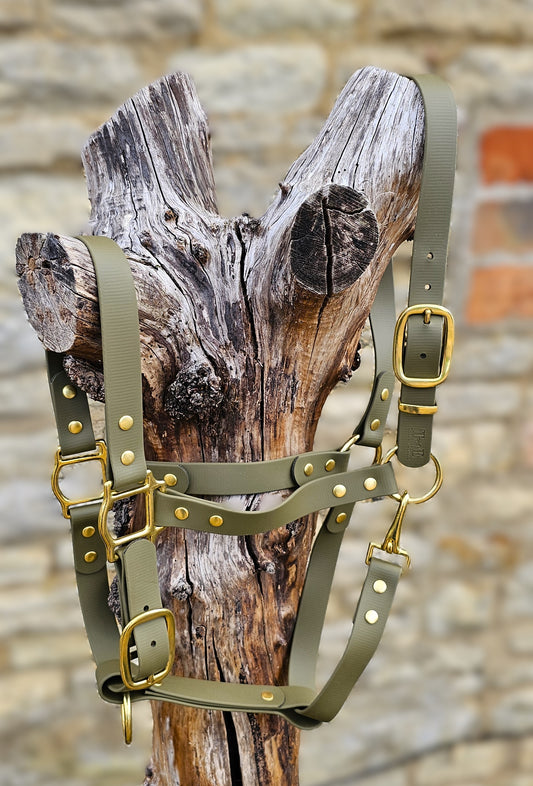 Olive - Premium BioThane® waterproof Horse Halter