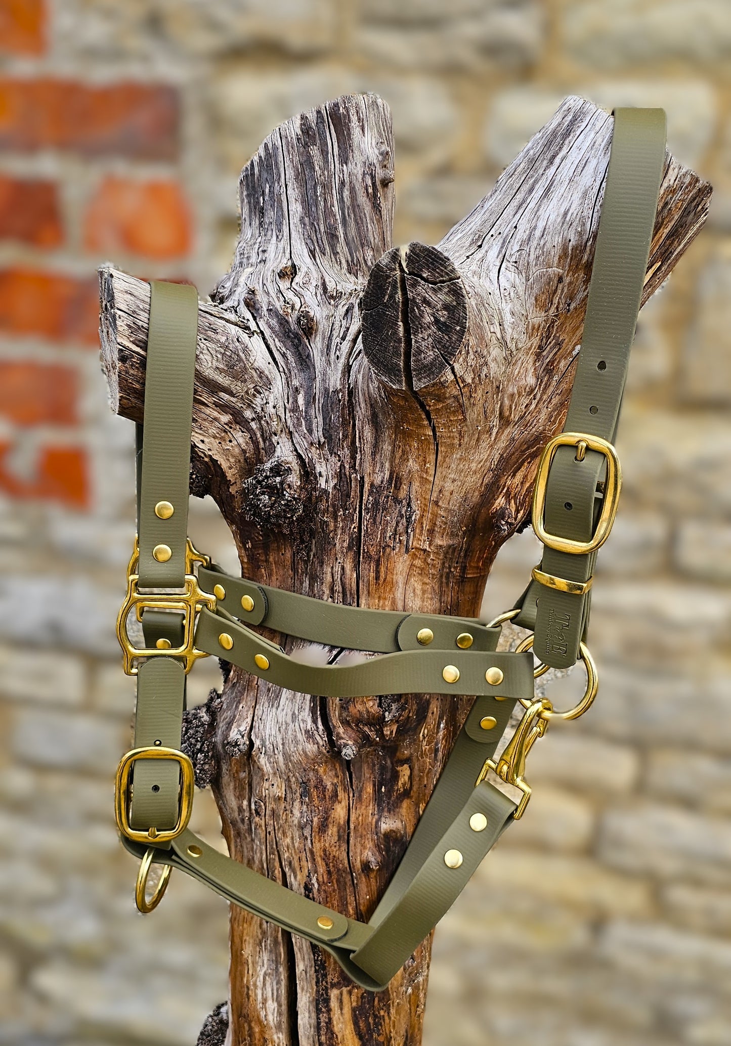 Olive - Premium BioThane® waterproof Horse Halter