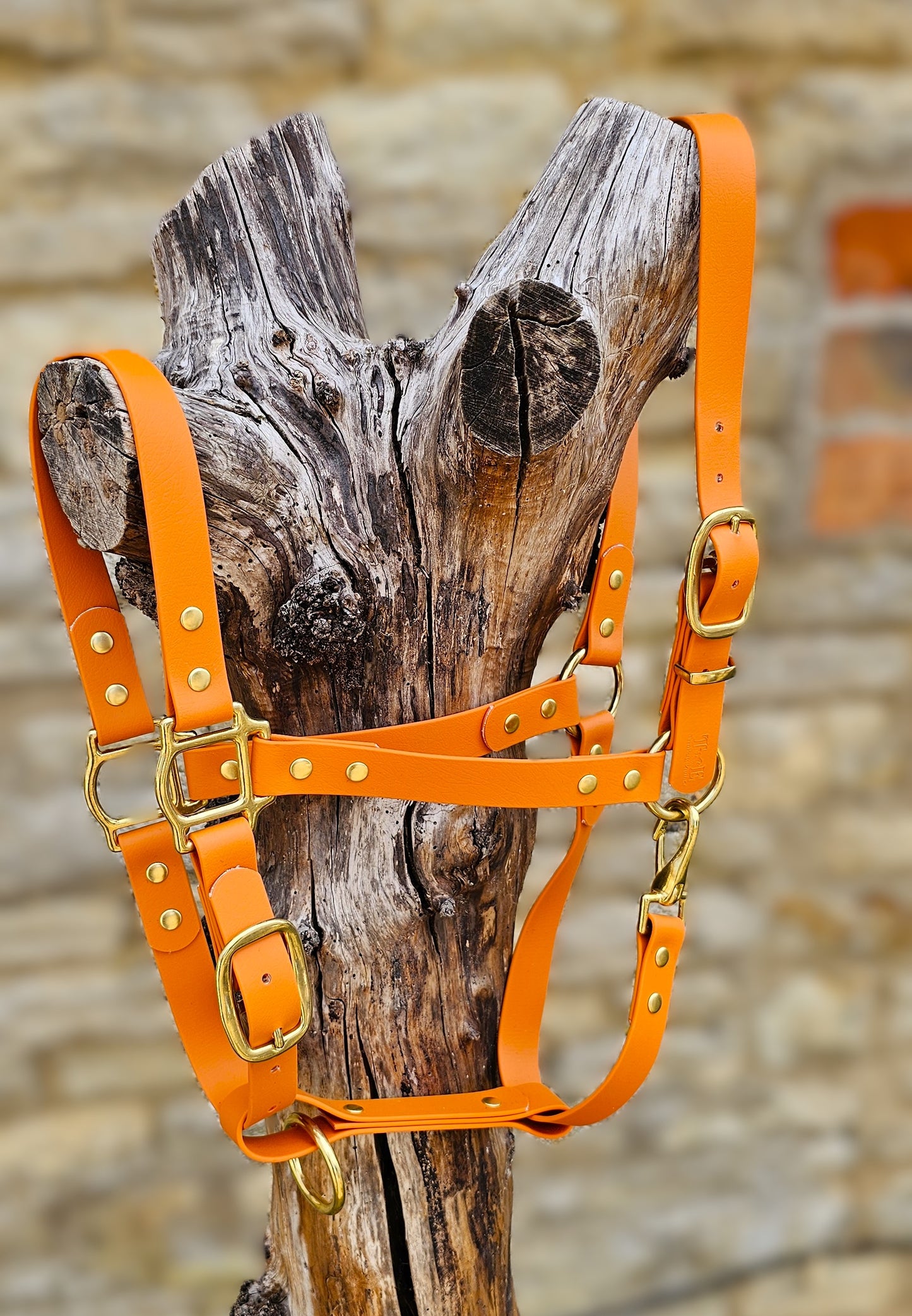 Burnt Orange - Premium BioThane® waterproof Horse Halter