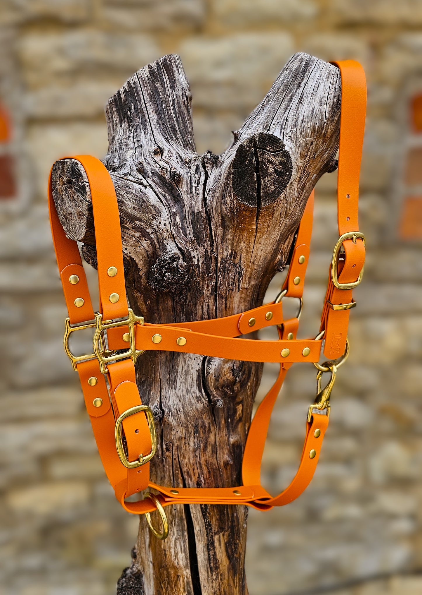 Burnt Orange - Premium BioThane® waterproof Horse Halter